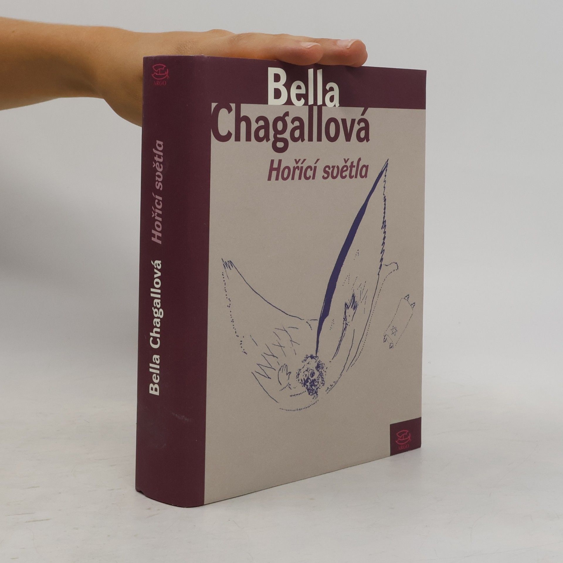 Vladimíra Daňková Hořící světla