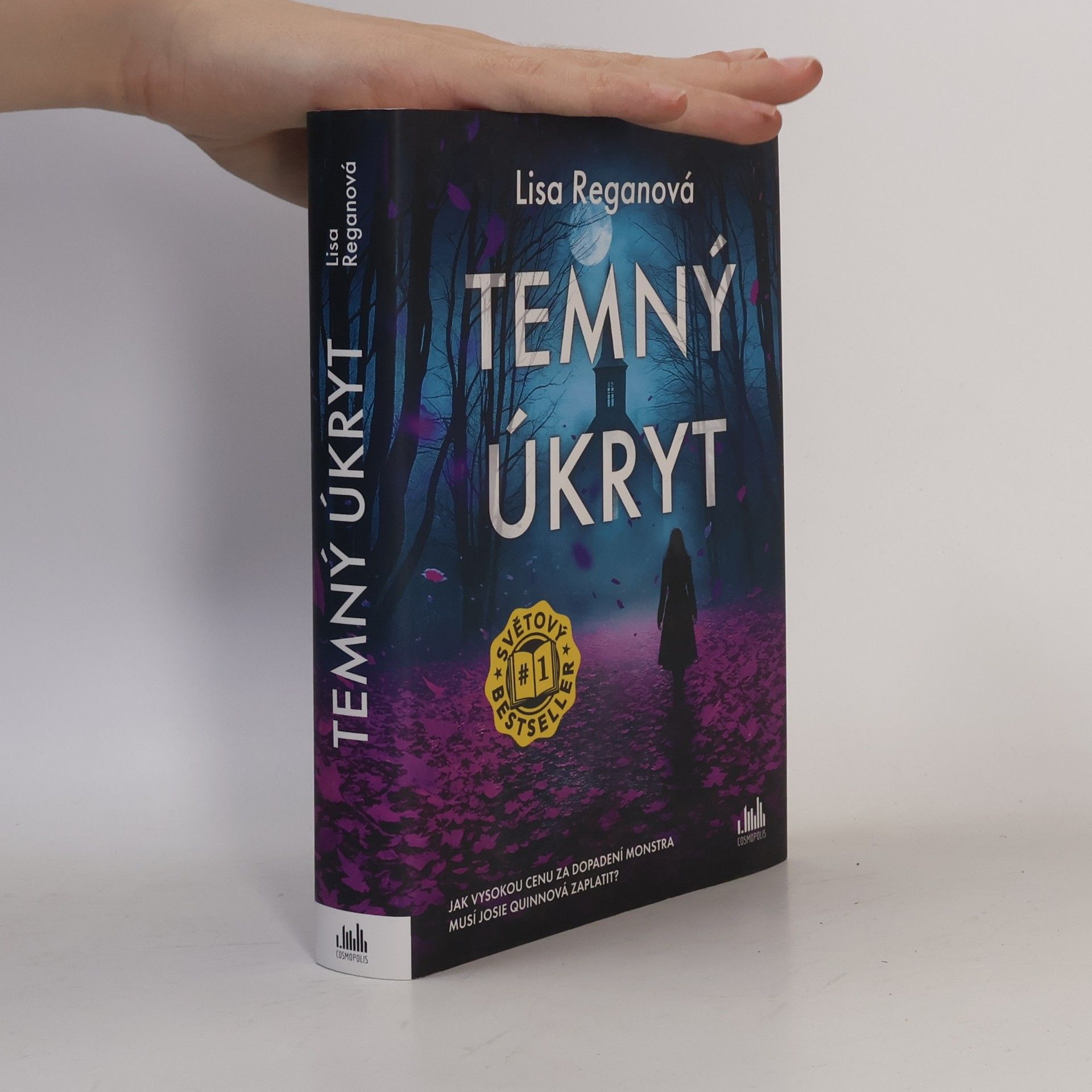 Lisa Regan Temný úkryt