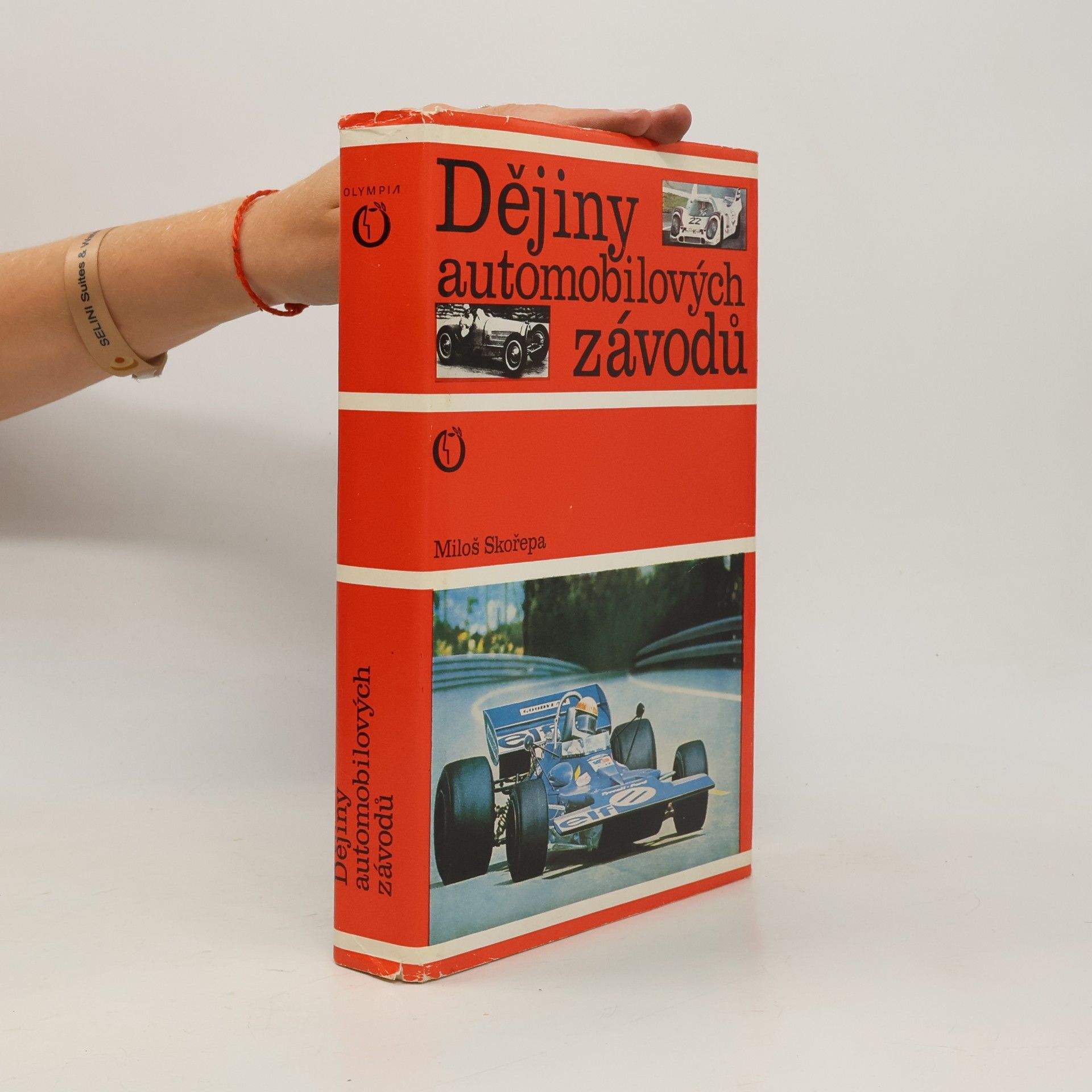 Dějiny automobilových závodů