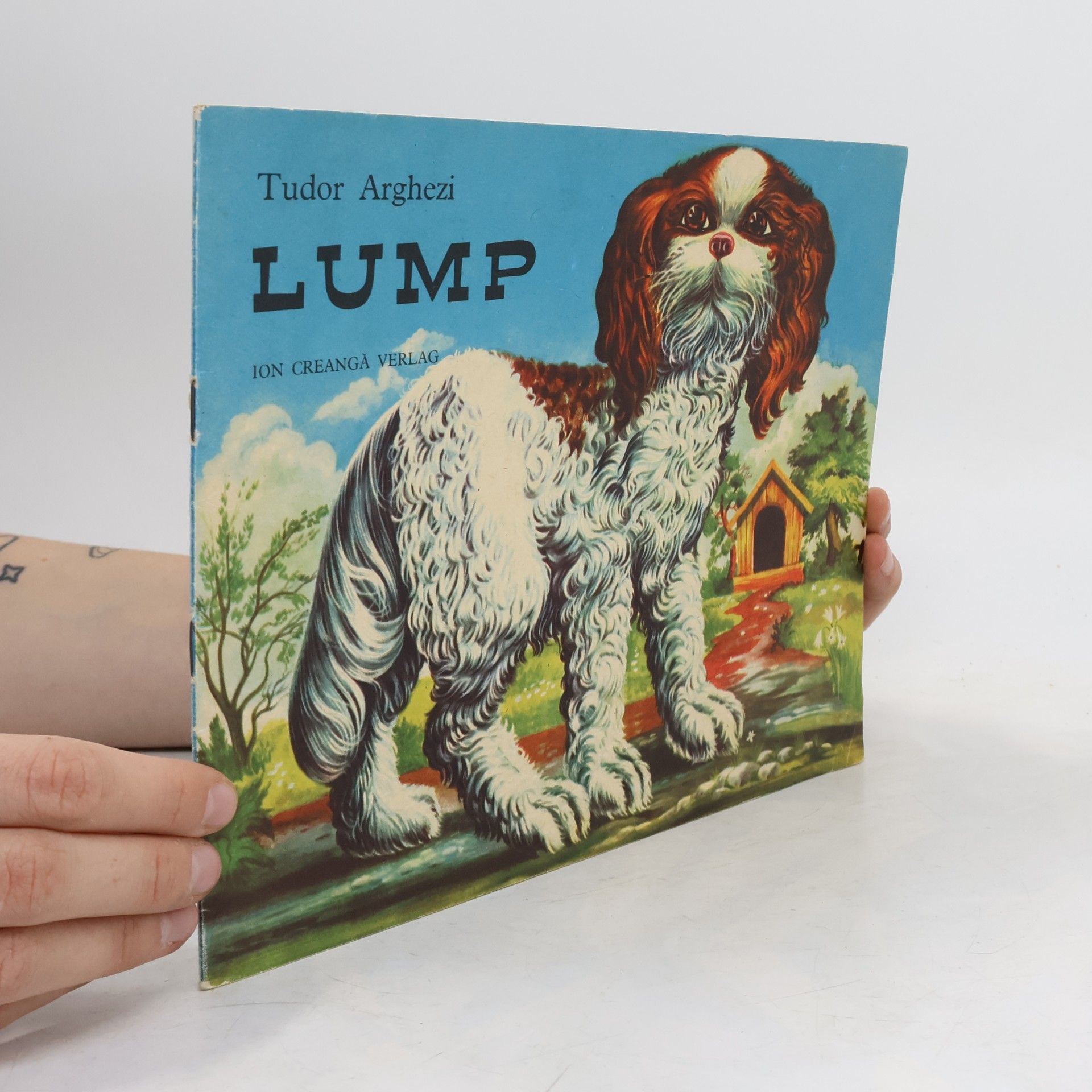 Lump