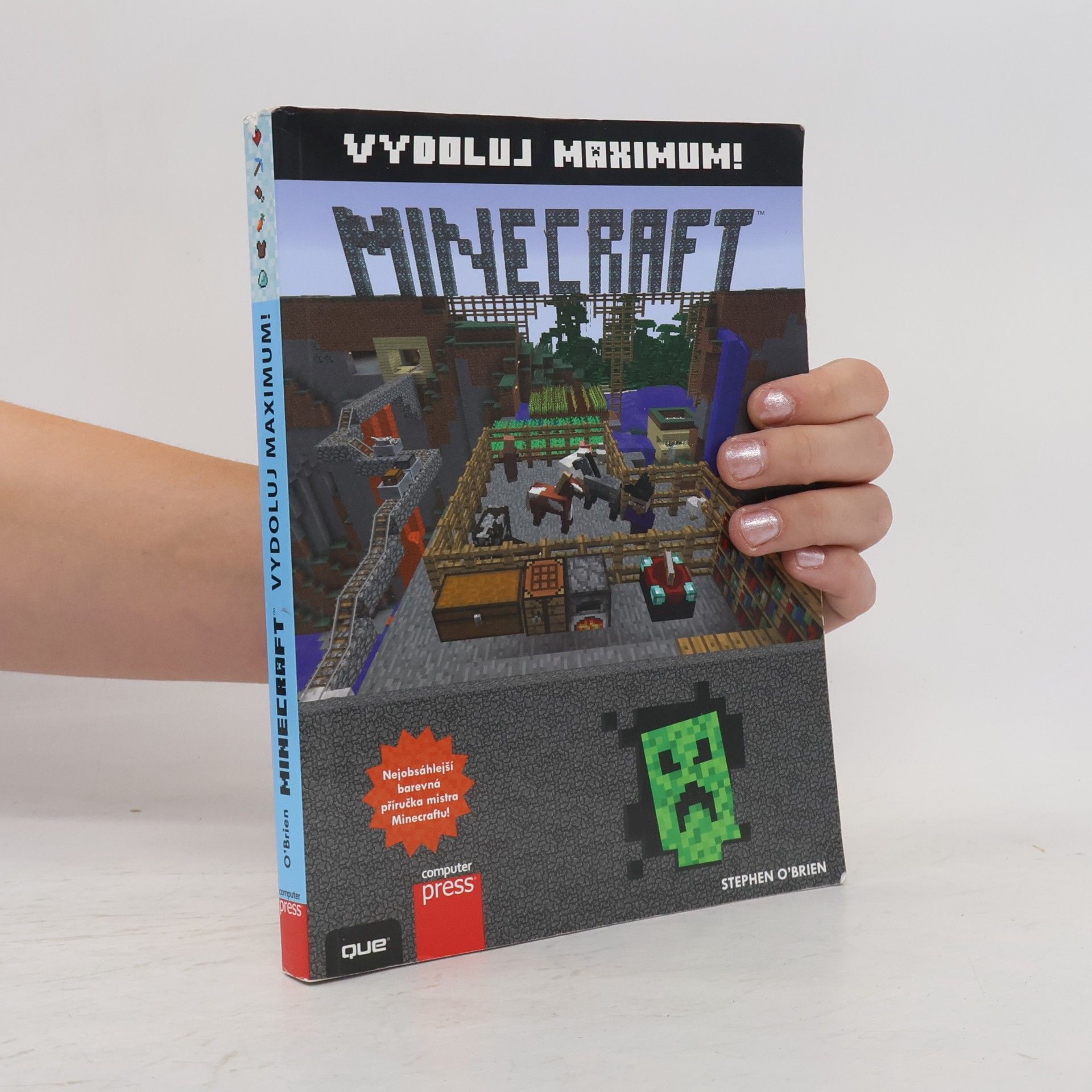 Stephen O'Brien Minecraft