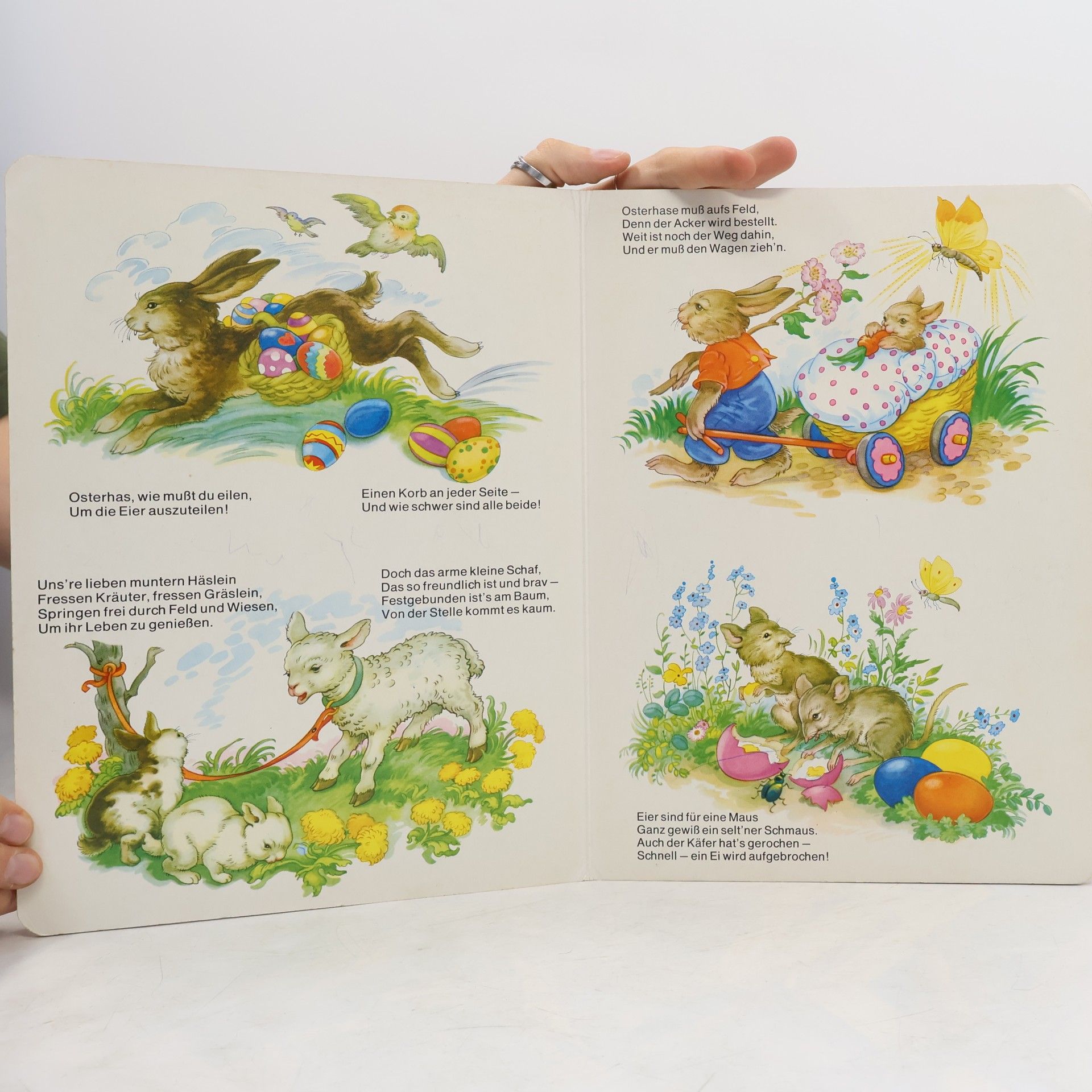 Collectif d'auteurs Der Osterhase und seine Freunde