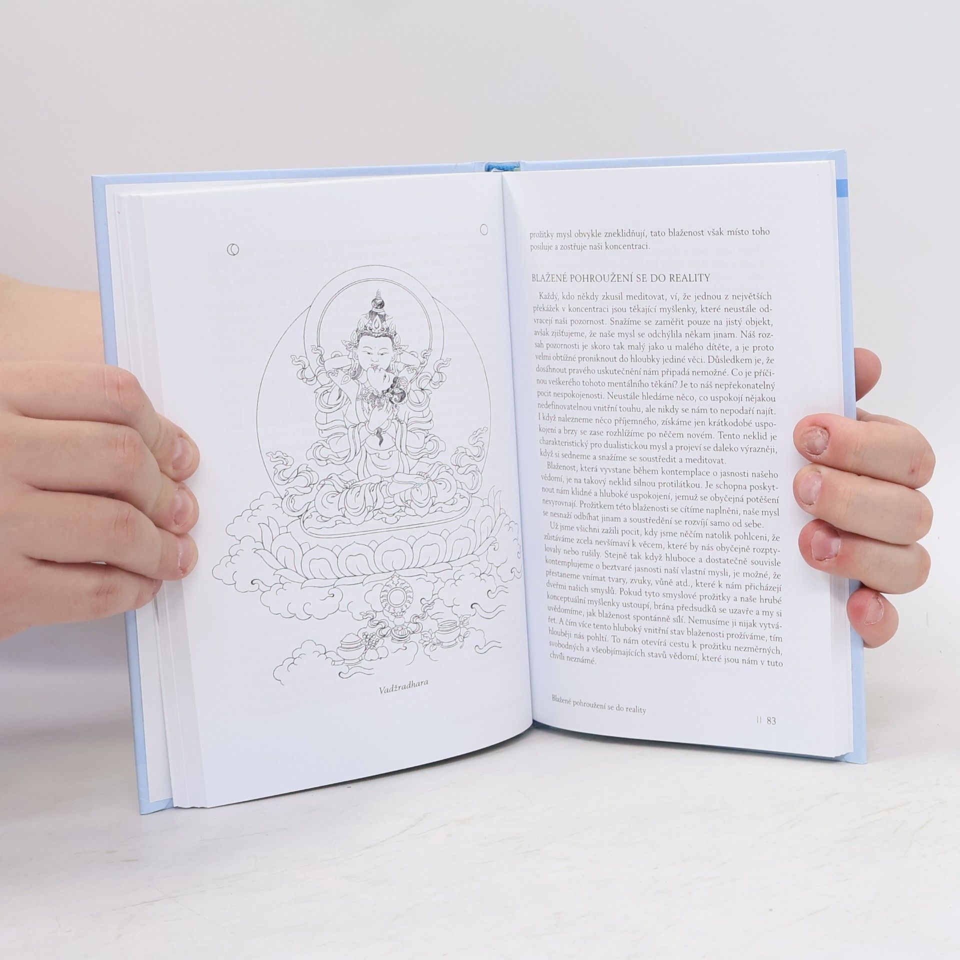 Yeshe Thubten Úvod do tantry: Transformace touhy