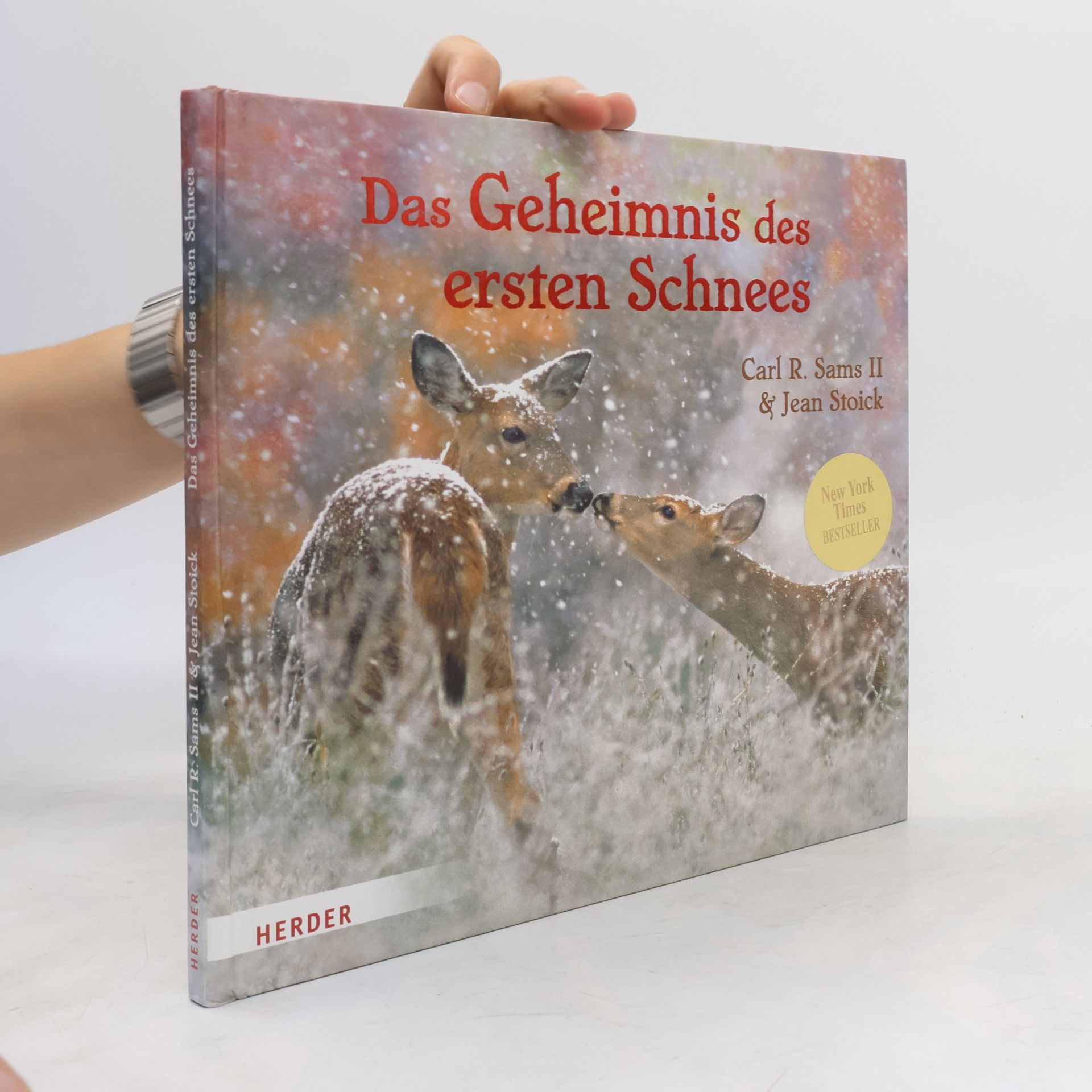 Carl R. Sams Das Geheimnis des ersten Schnees