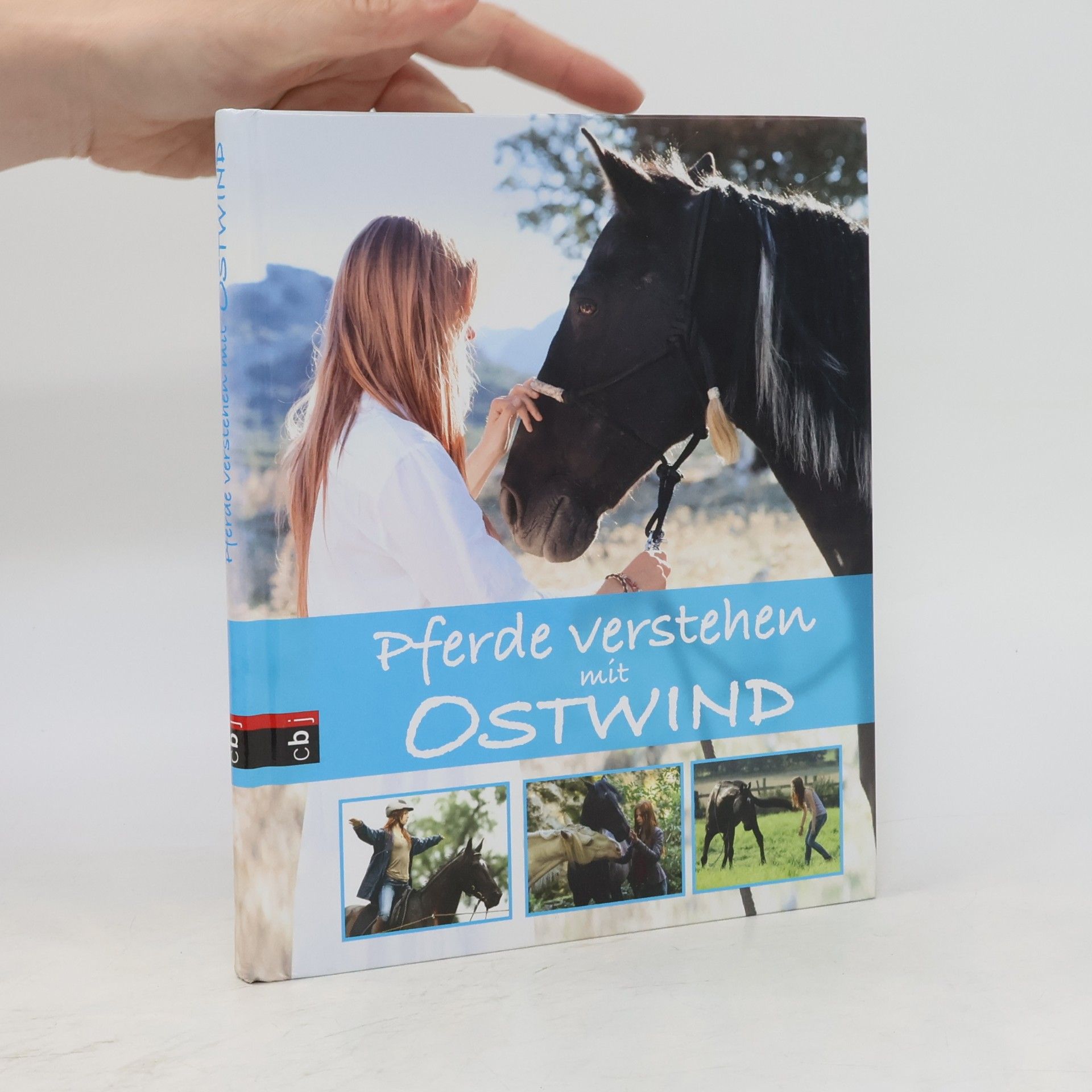 Almut Tina Schmidt Pferde verstehen mit Ostwind