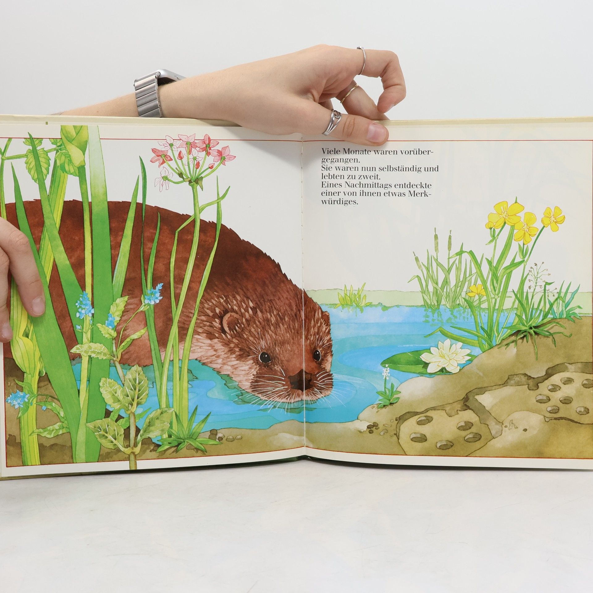 Annet Planten Der Otter