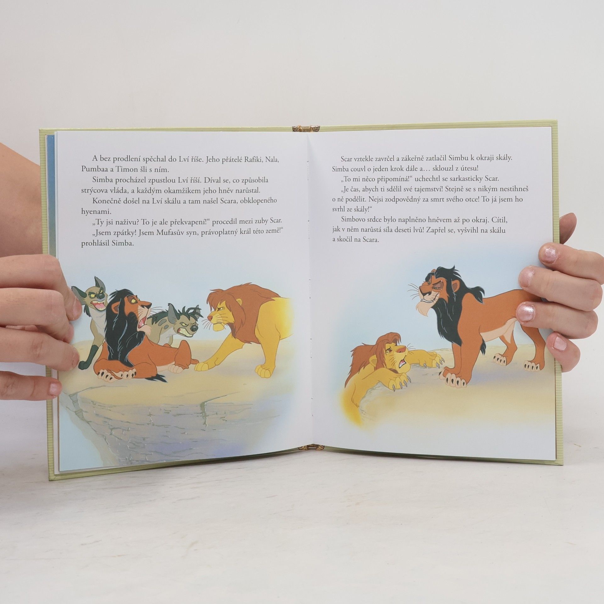 Autorenkollektiv Zlatá sbírka pohádek 1. Lví král