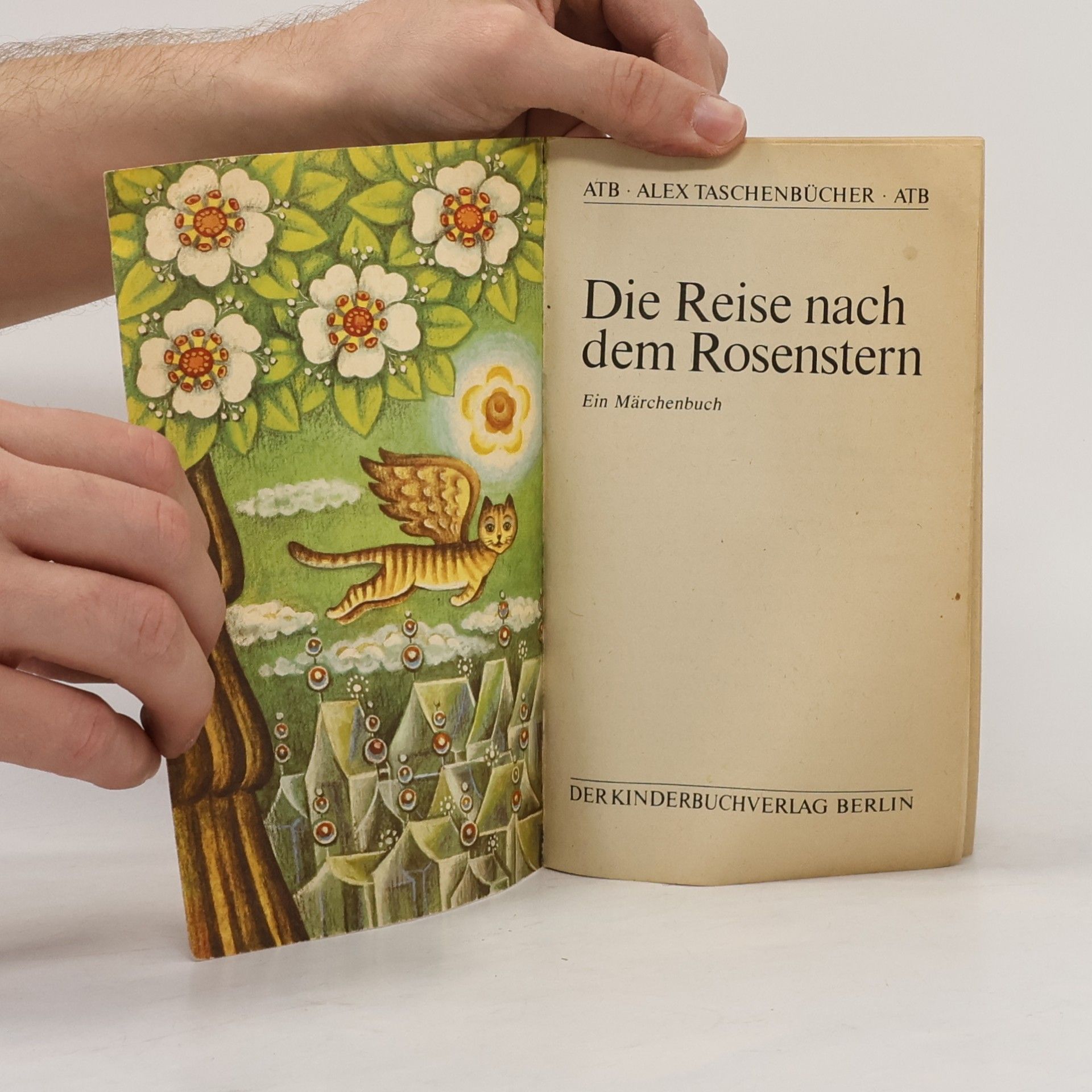 Herbert Friedrich Die Reise nach dem Rosenstern