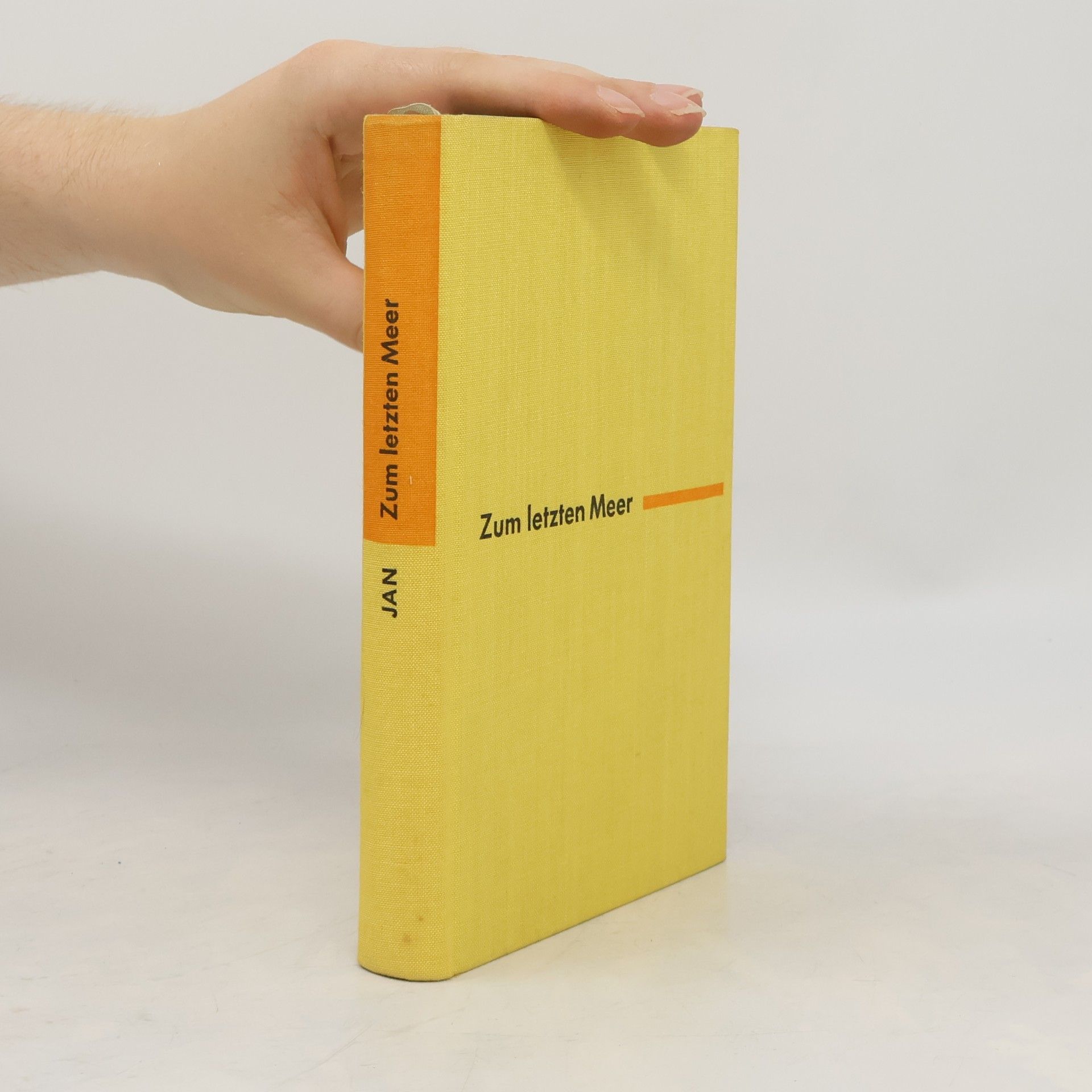W. Jan Zum letzten Meer