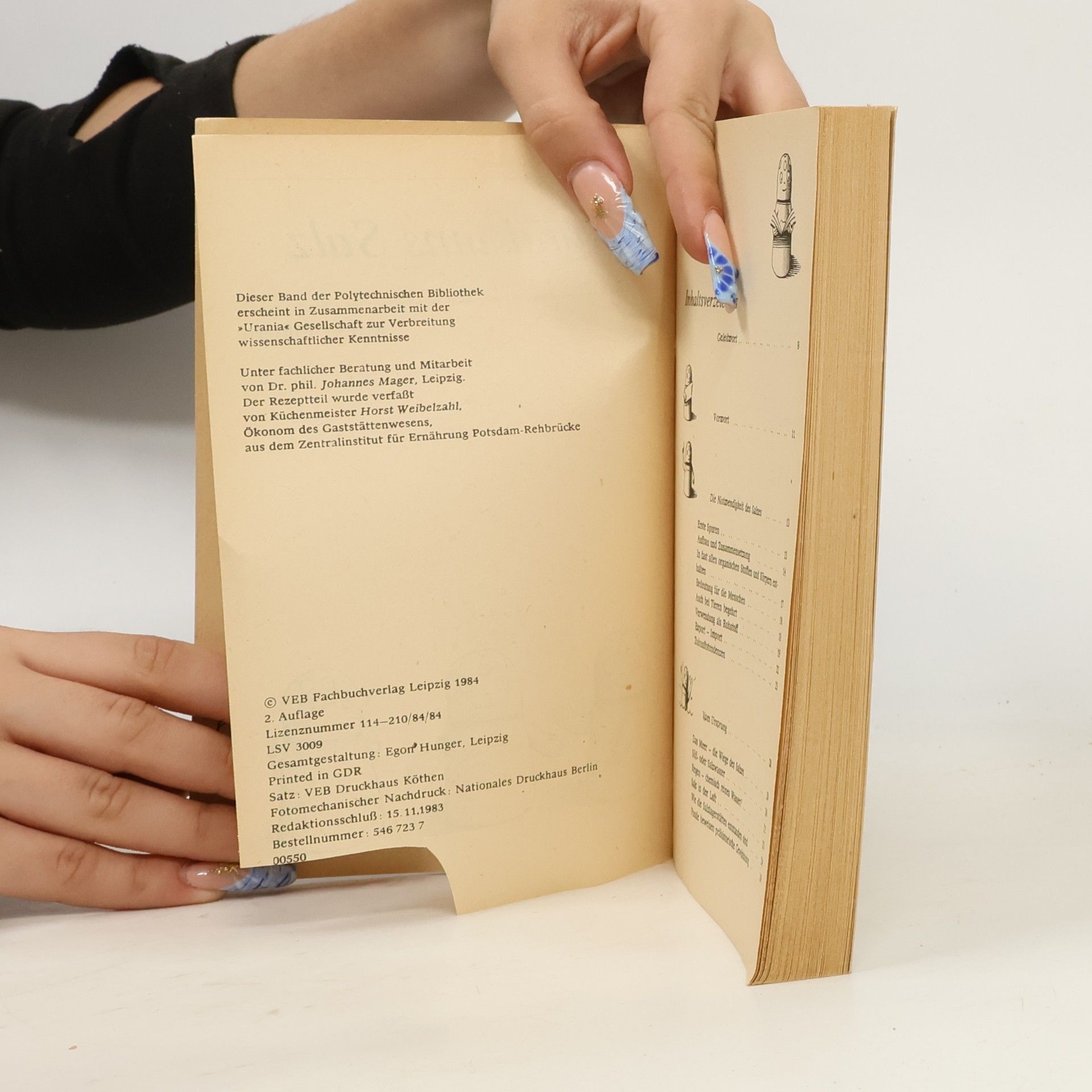 Helga Schmiedel Rund ums Salz-mit Tips und Rezepten