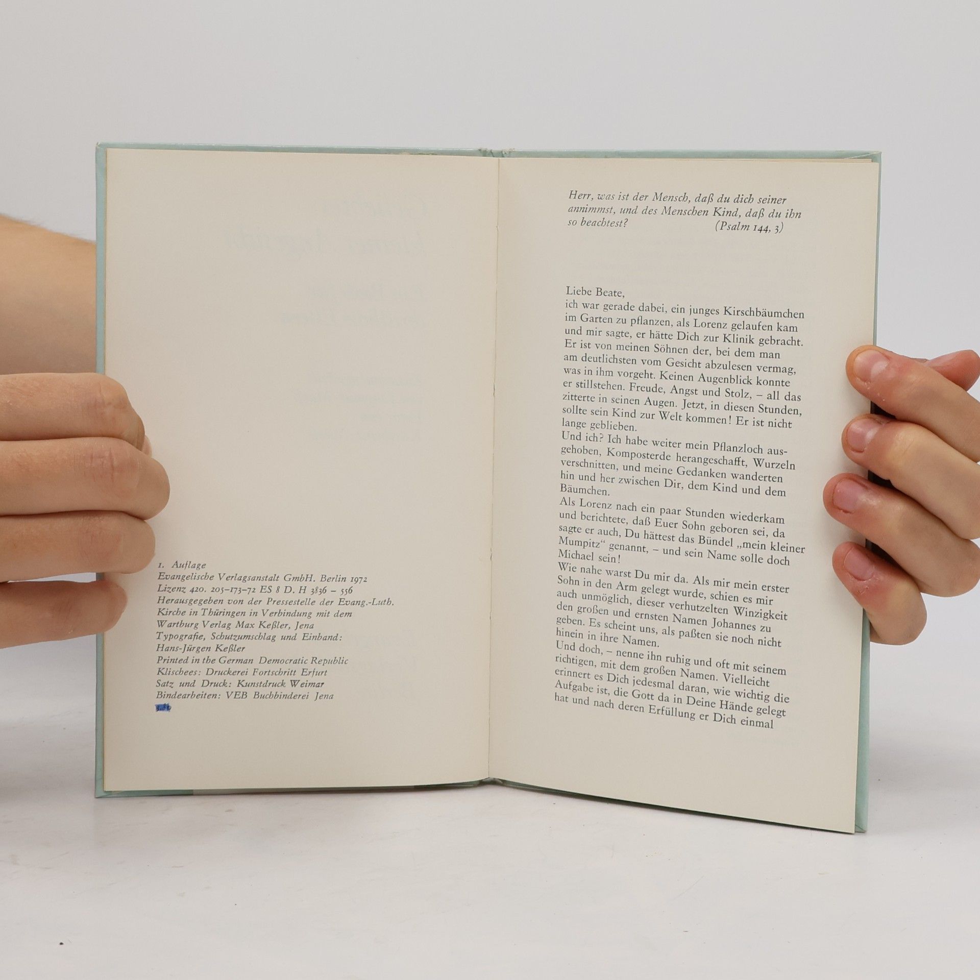 Autorenkollektiv Geliebtes kleines Angesicht