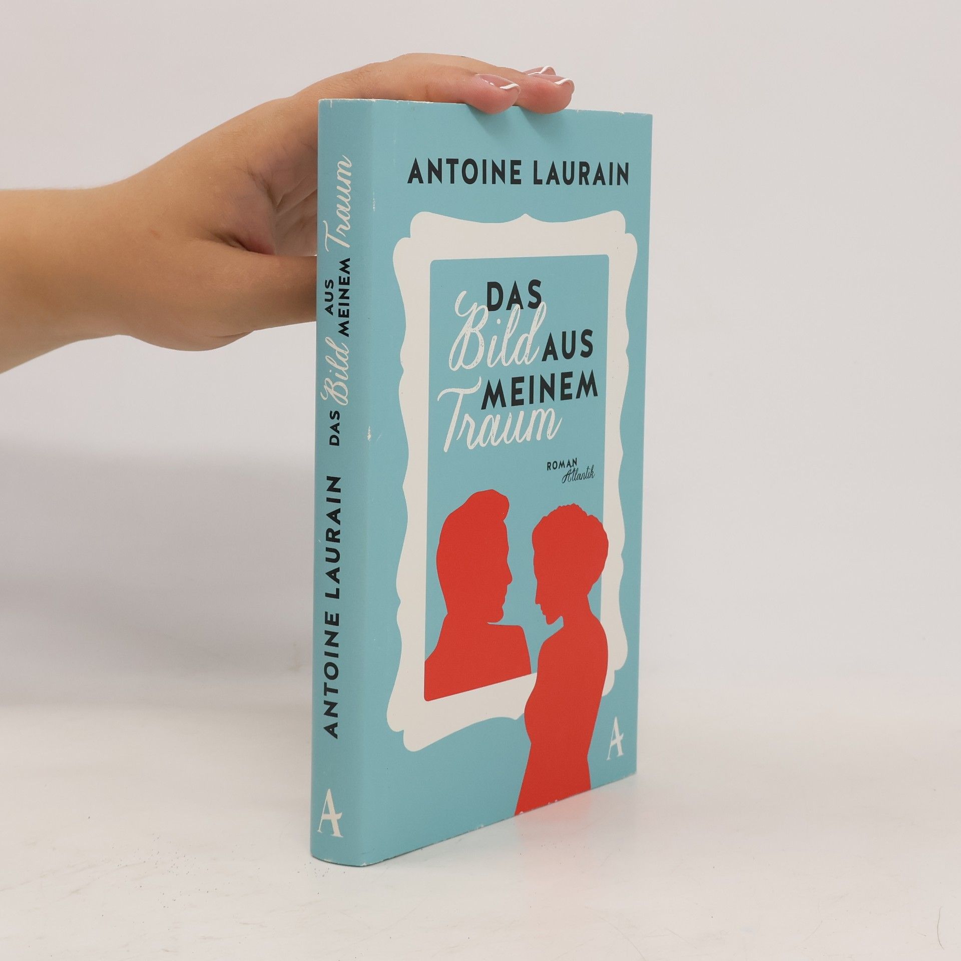 Antoine Laurain Das Bild aus meinem Traum