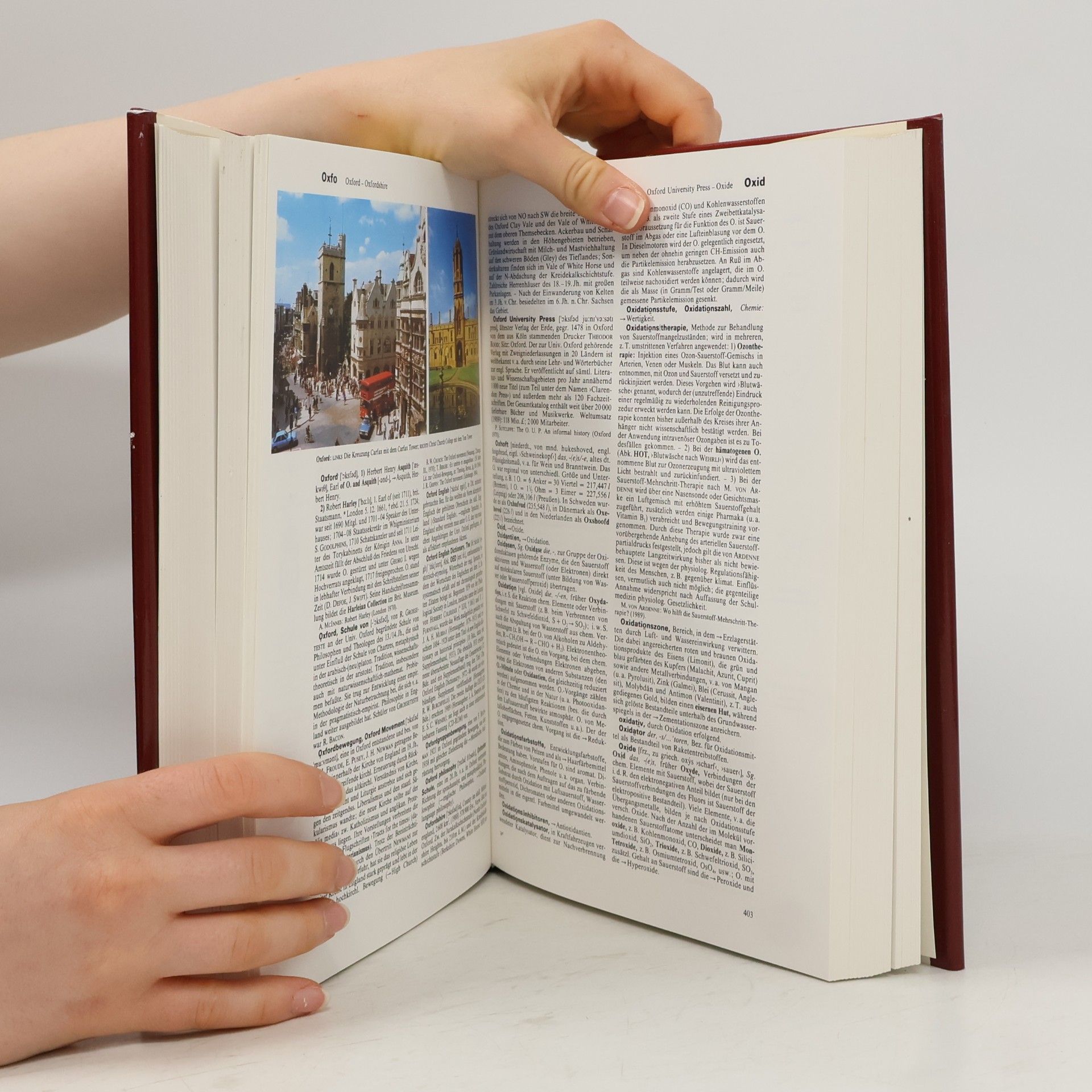 Autorenkollektiv Brockhaus Enzyklopädie 16 (NOS-PER)