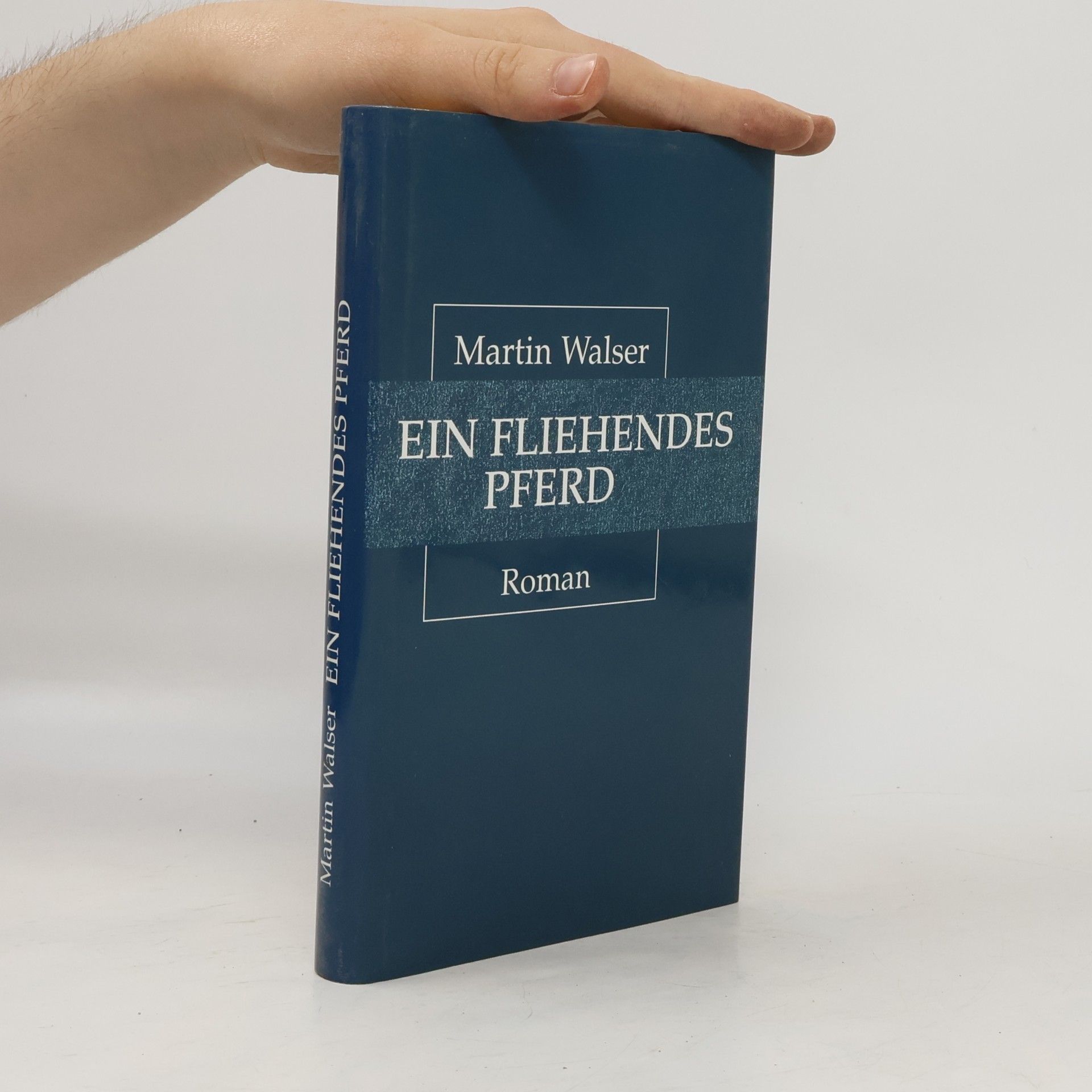 Martin Walser Ein fliehendes Pferd