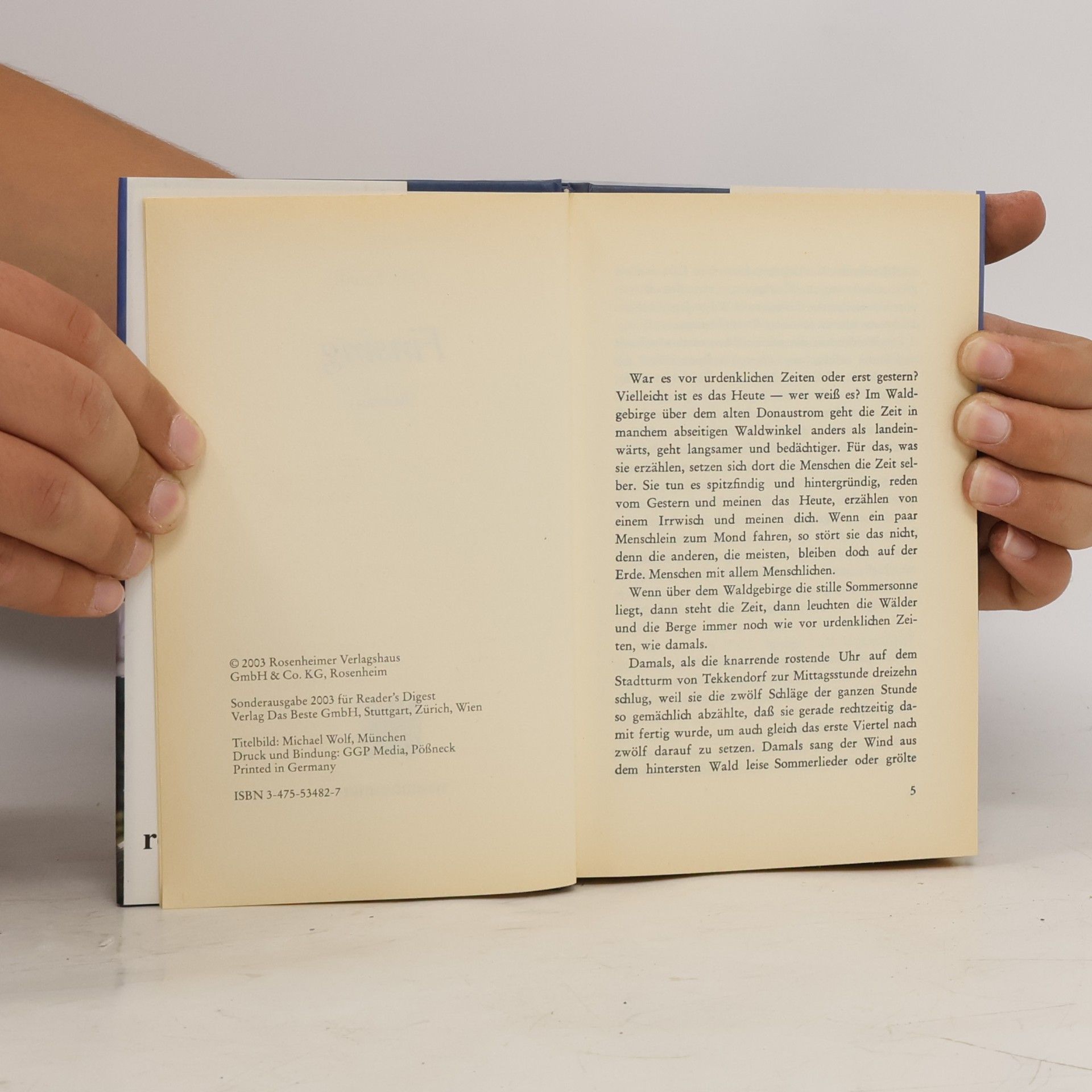 Paul Friedl Finsing : Roman