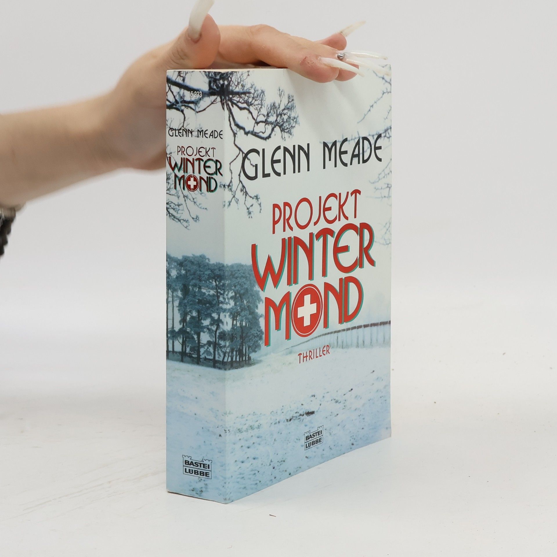 Glenn Meade Projekt winter mind