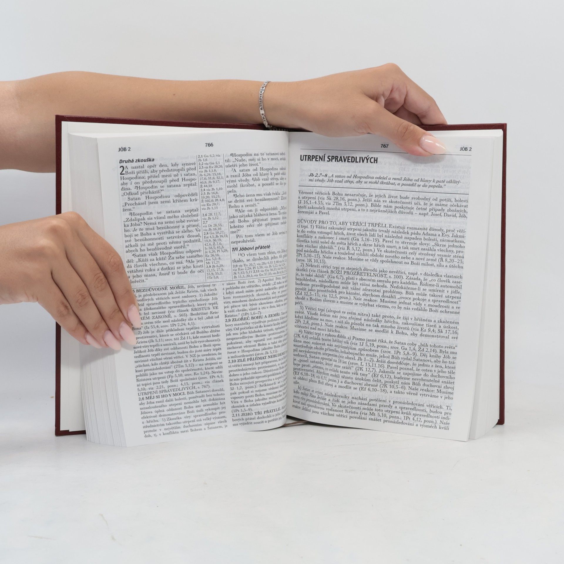 Kolektiv autorů Studijní bible s výkladovými poznámkami