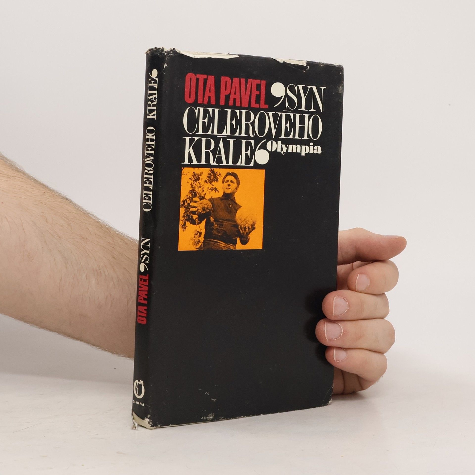 Ota Pavel Syn celerového krále
