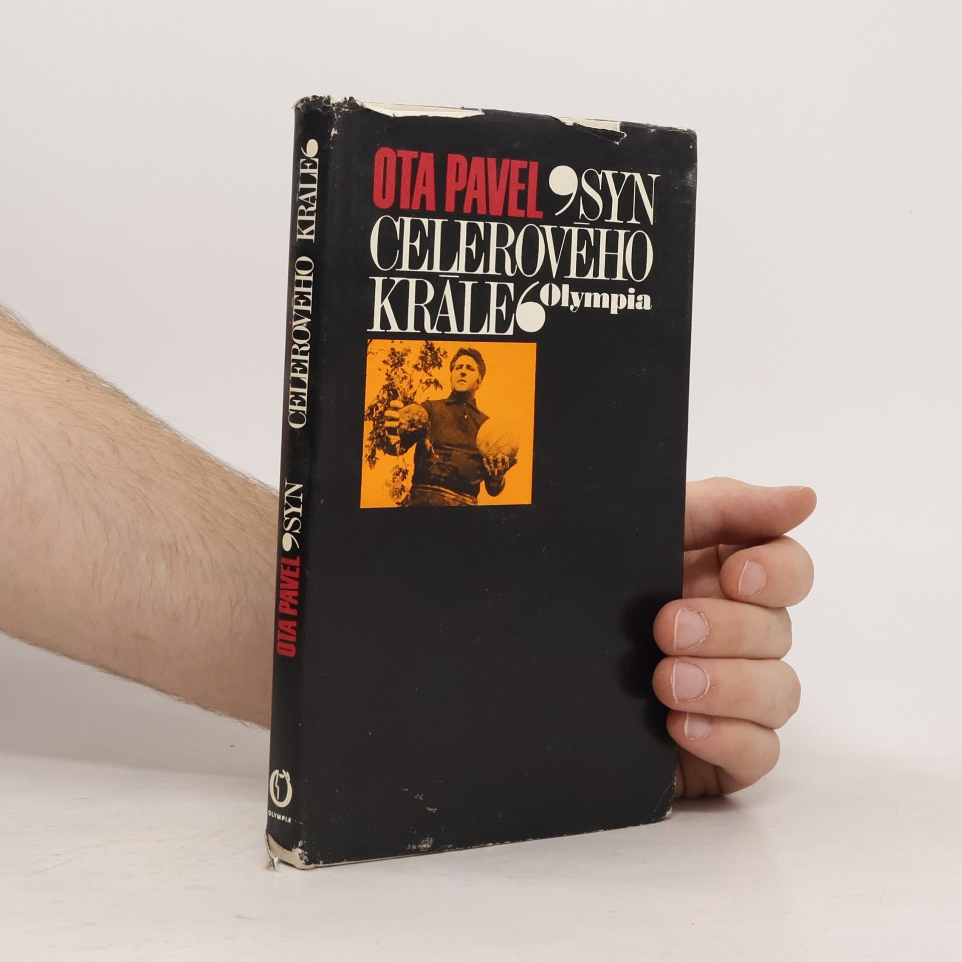 Ota Pavel Syn celerového krále