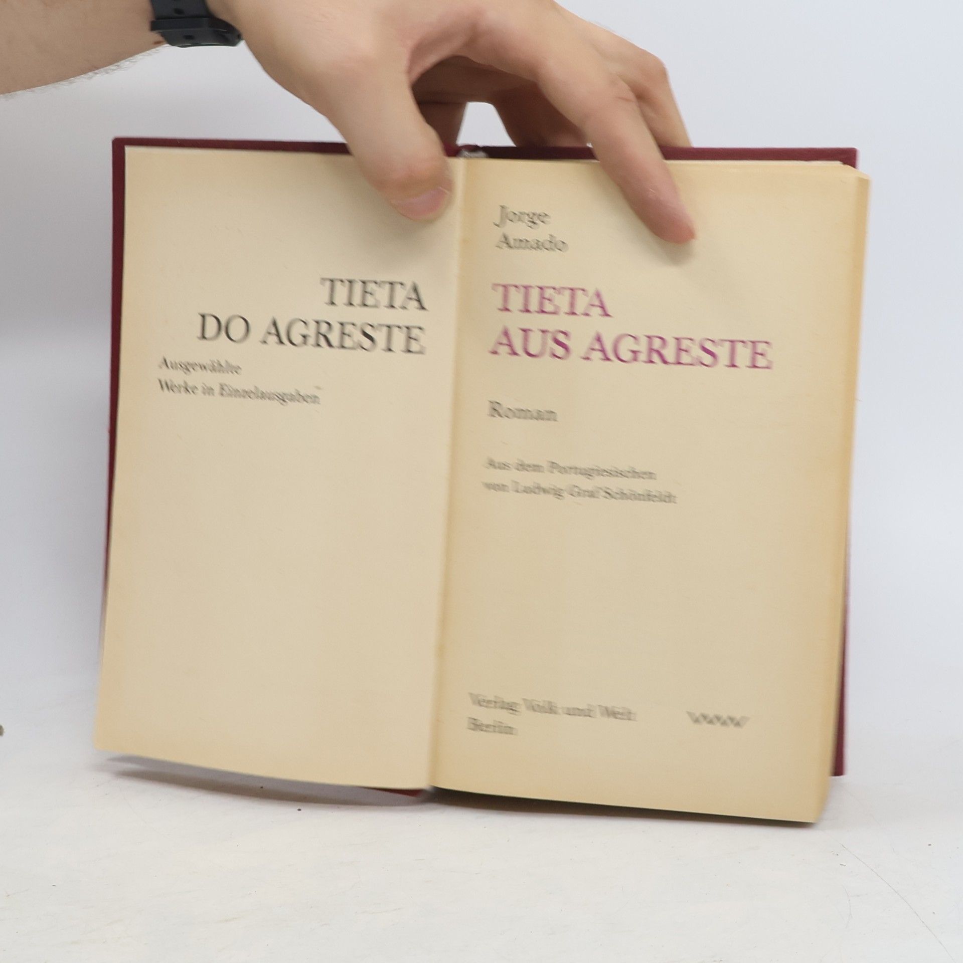 Jorge Amado Tieta aus Agreste