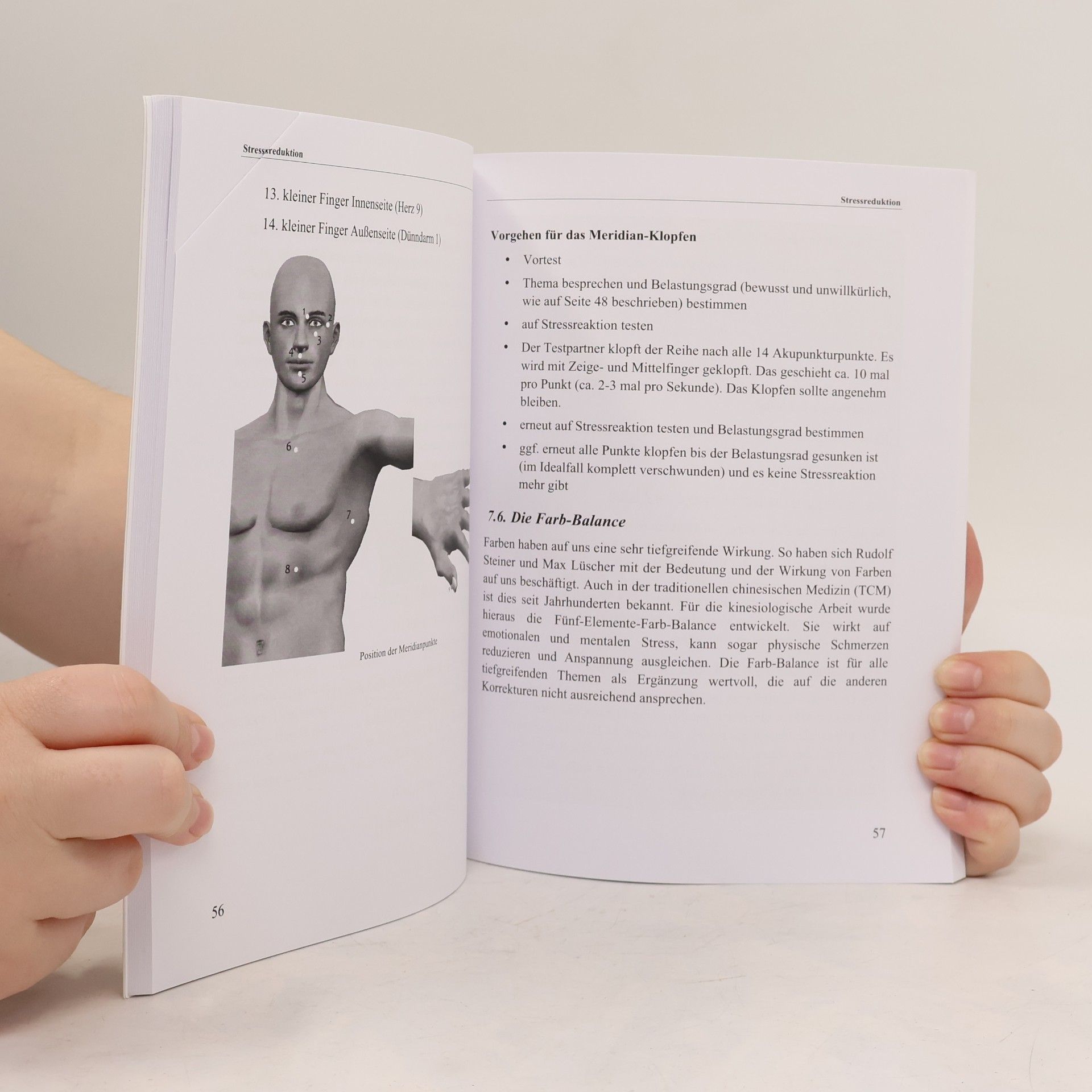 Stefan Strobl Lösungsorientierte Kinesiologie