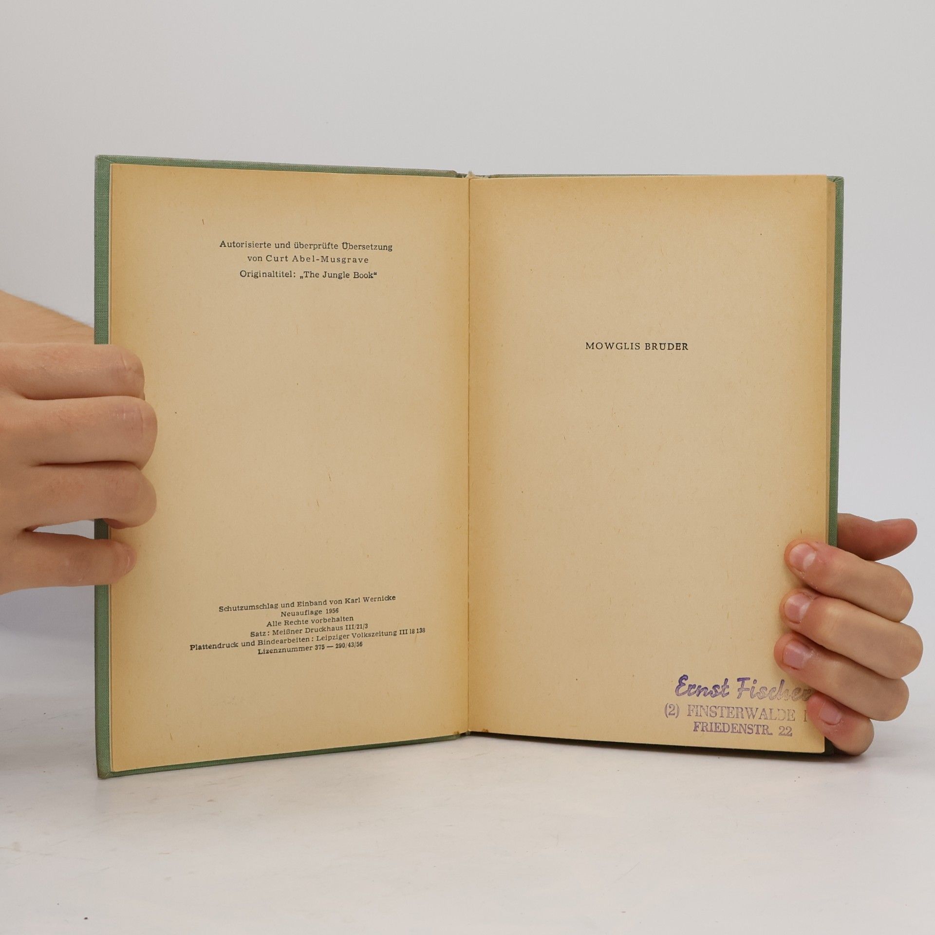 Rudyard Kipling Das Dschungelbuch