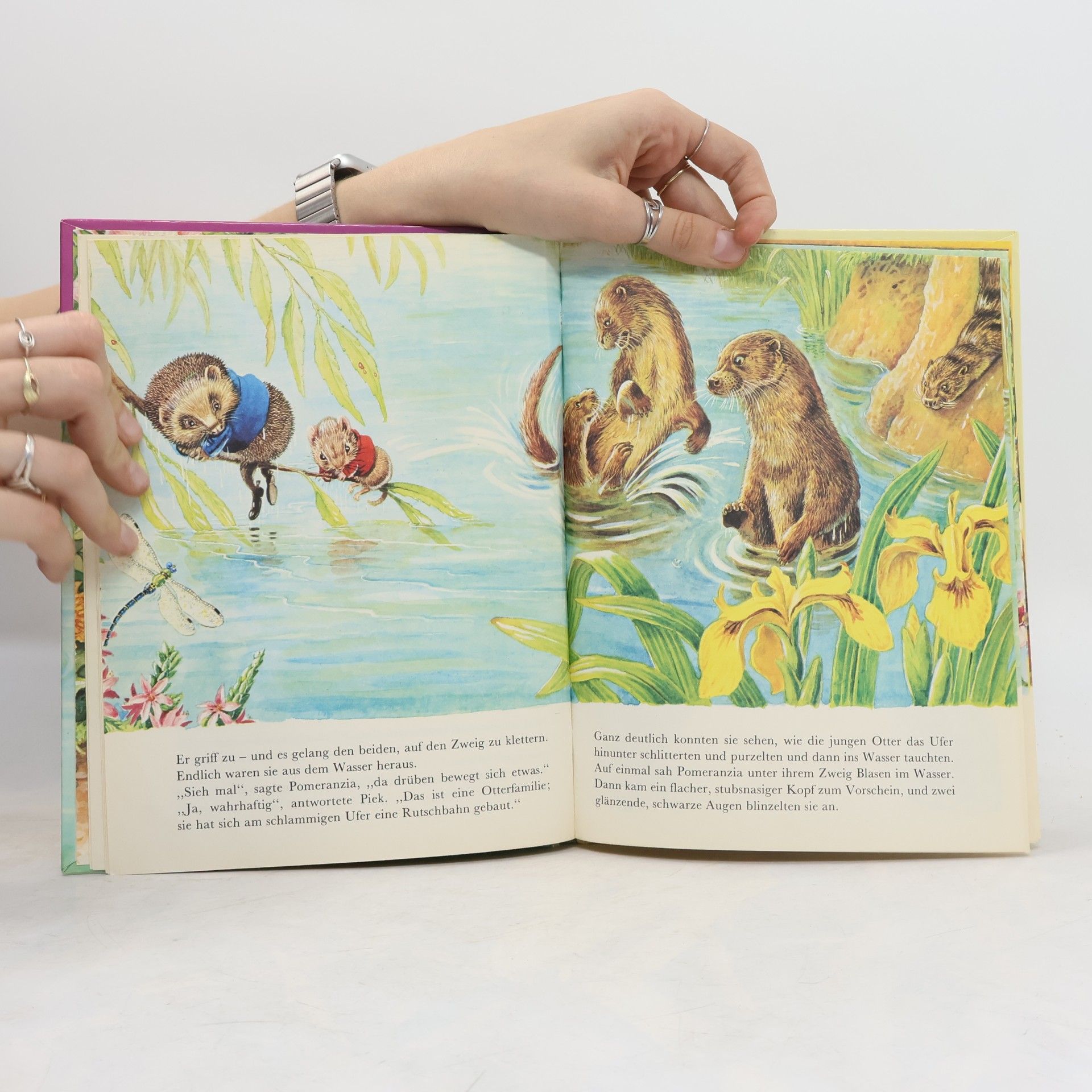 Racey Helps Daxi-Bücher - 34: Piek macht Ferien