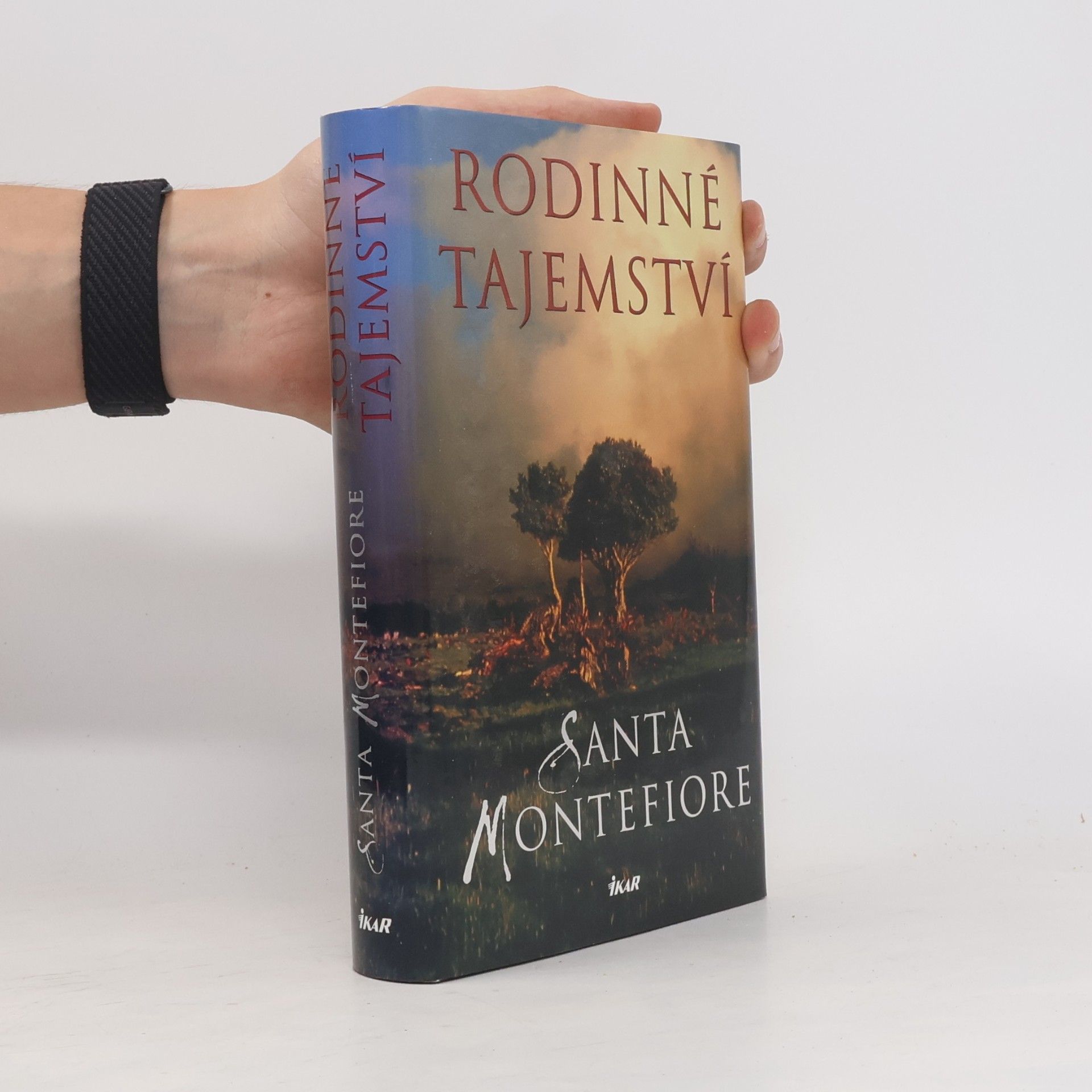 Santa Montefiore Rodinné tajemství