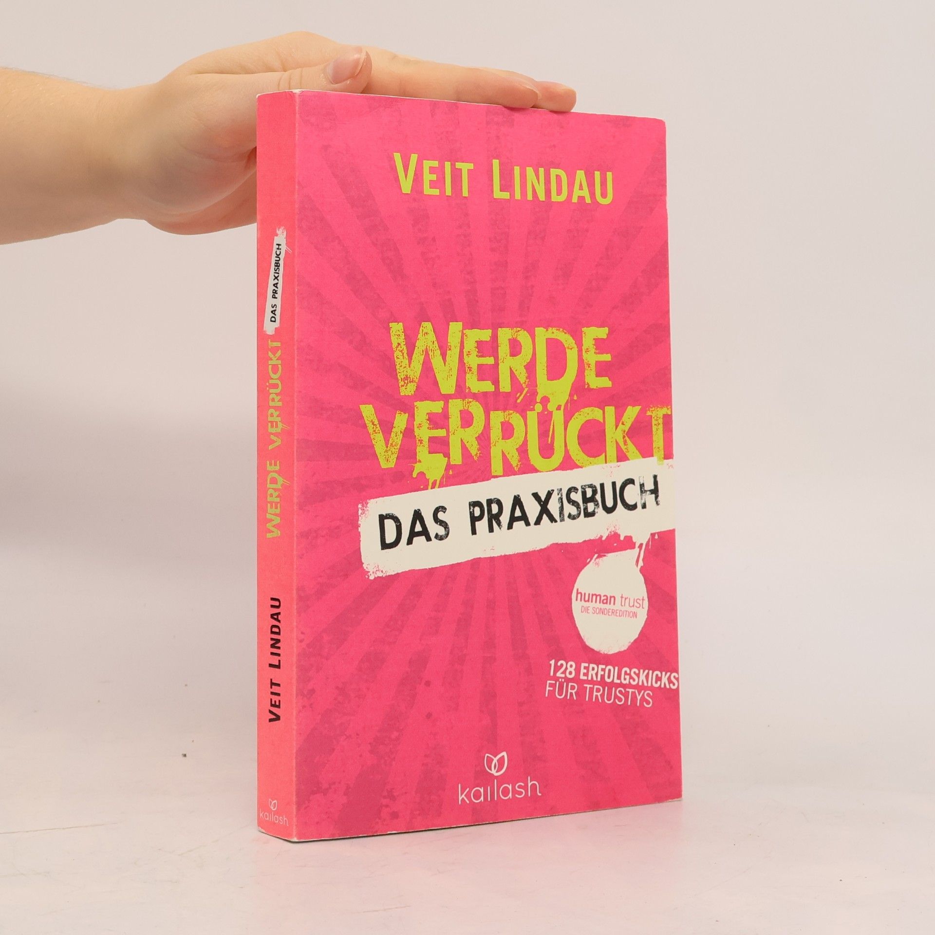 Werde verrückt – Das Praxisbuch: 128 Kicks für deinen Erfolg
