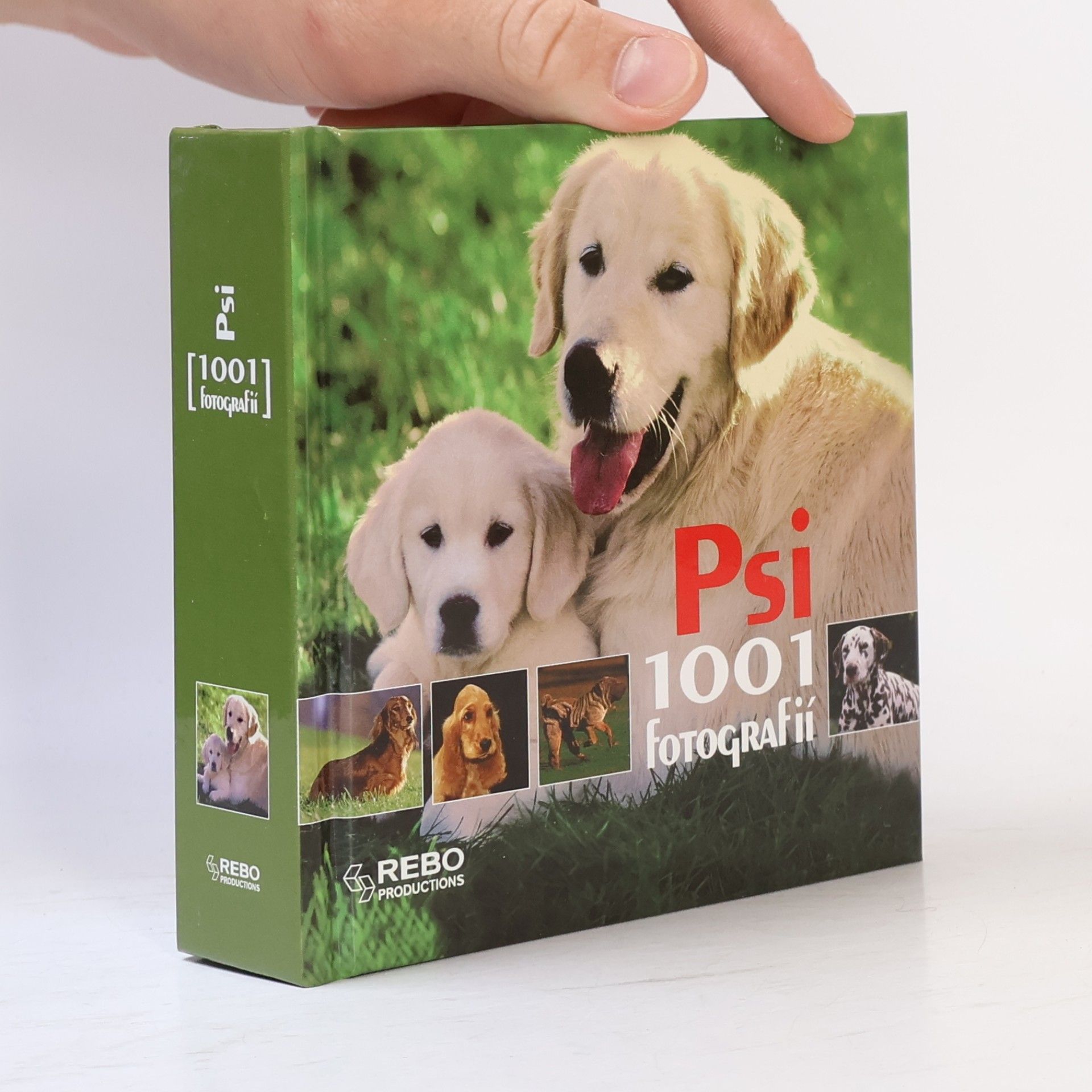 Hana Zástěrová Psi - 1001 fotografií