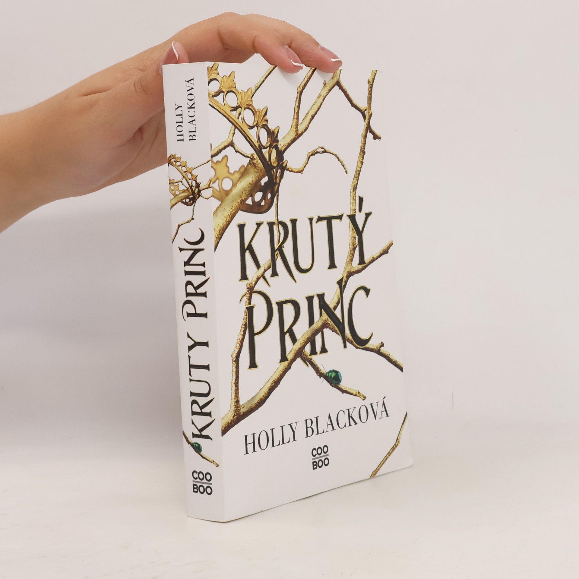 Holly Black Krutý princ