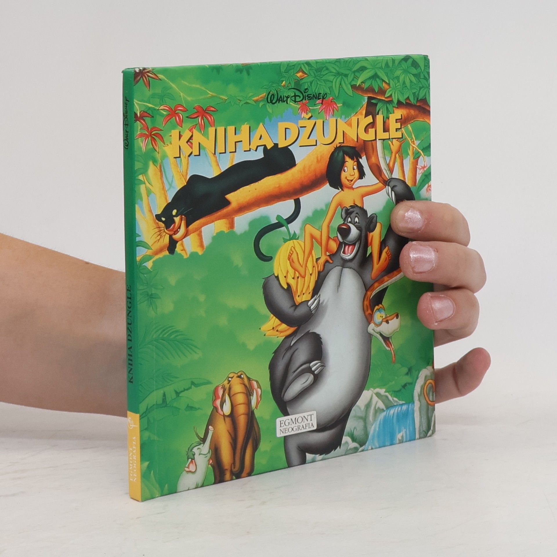 Walt Disney Kniha džungle
