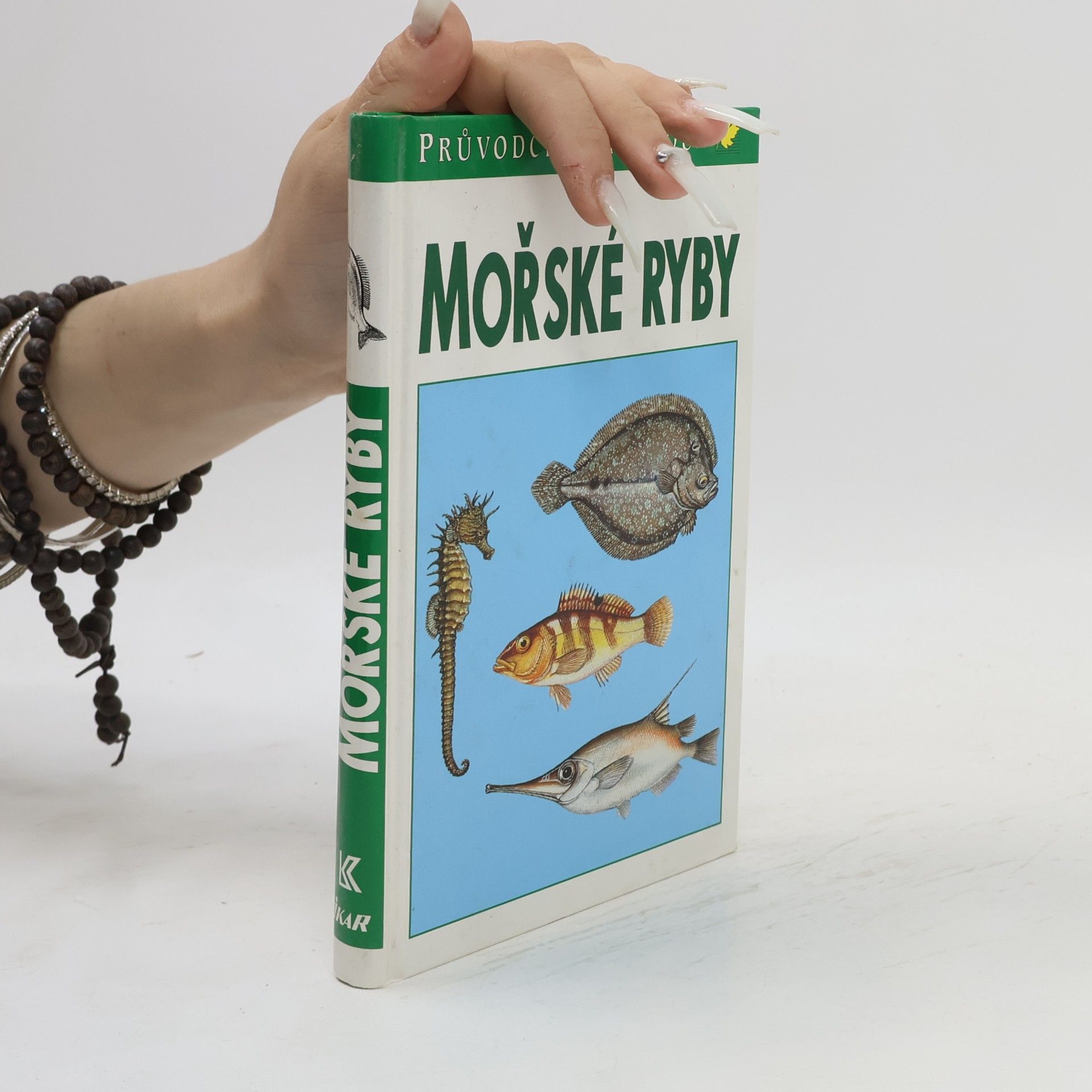 Sauer Frieder Mořské ryby v evropských vodách