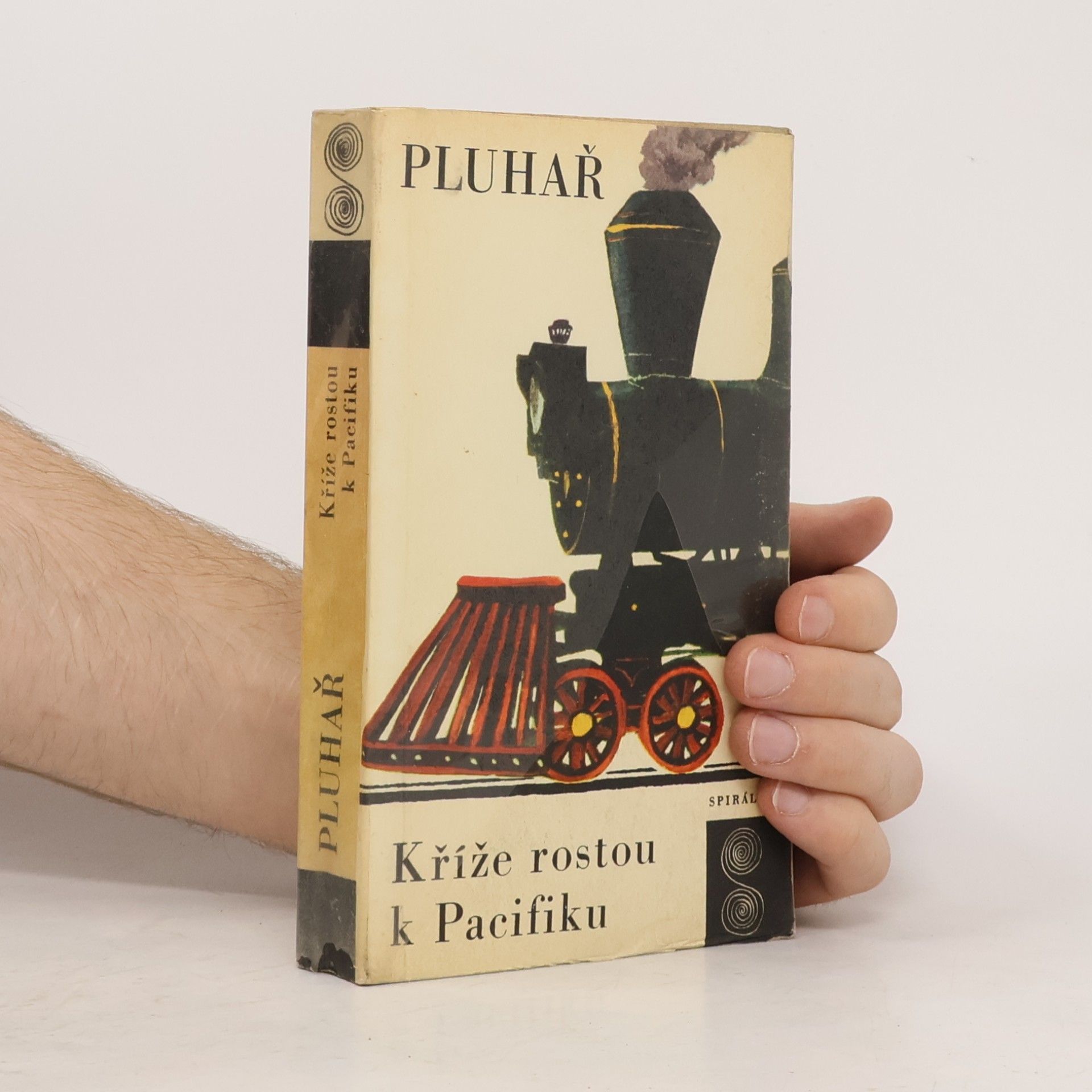 Zdeněk Pluhař Kříže rostou k Pacifiku