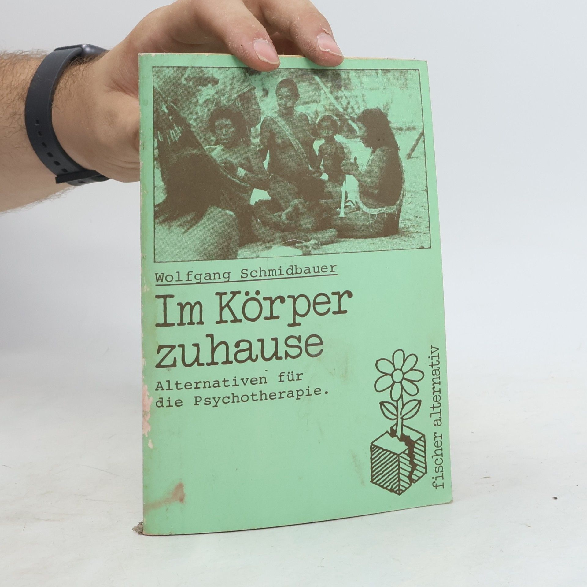 Dr. Wolfgang Schmidbauer Im Körper zuhause