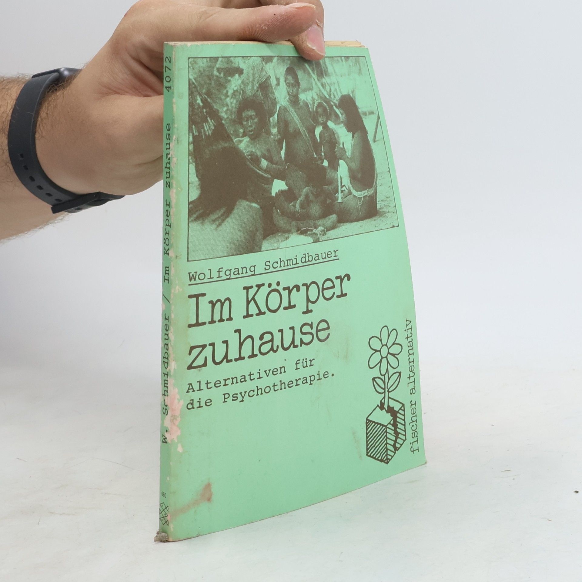 Dr. Wolfgang Schmidbauer Im Körper zuhause