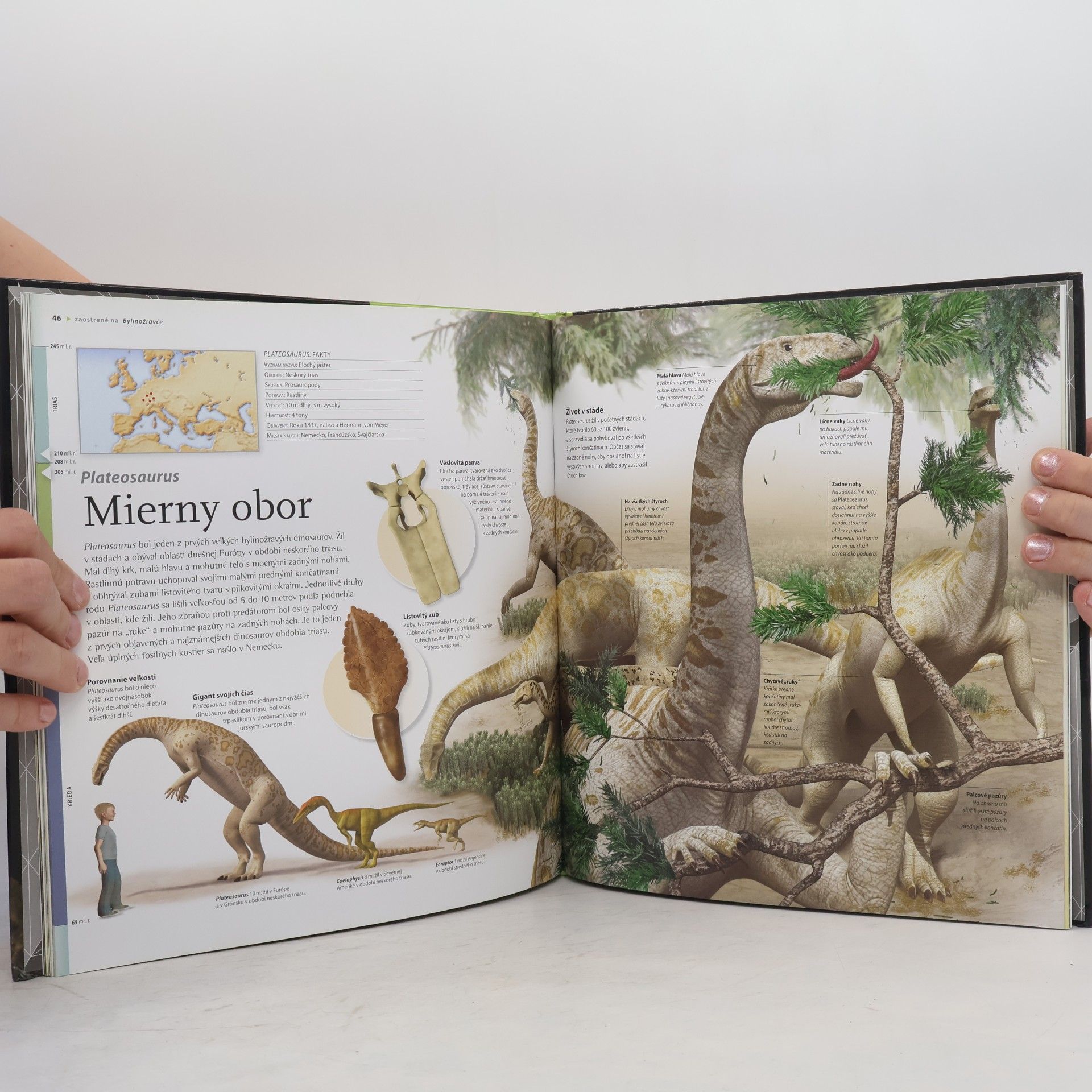 Autorenkollektiv Dinosaury