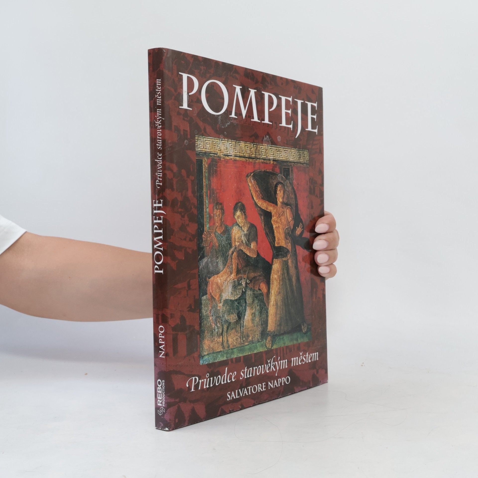 Collectif d'auteurs Pompeje: Průvodce starověkým městem