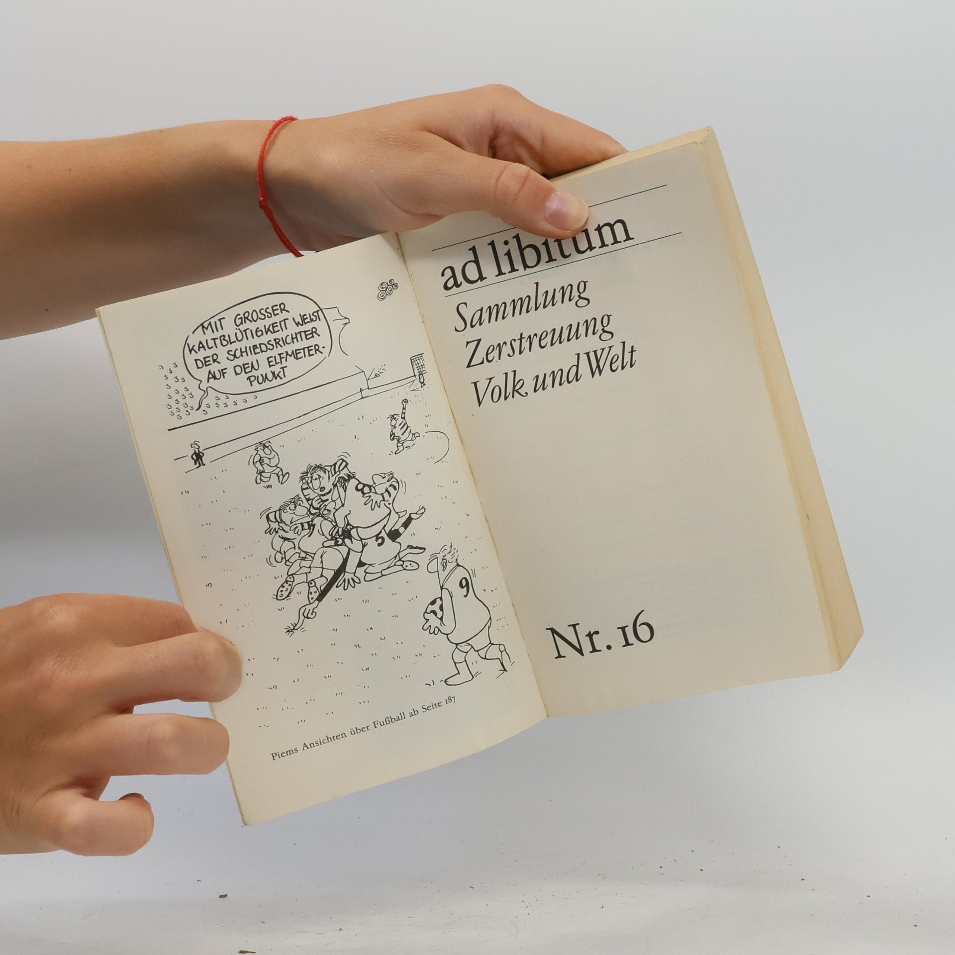Reinhard Lehmann Ad libitum. Sammlung Zerstreuung. Nr.16