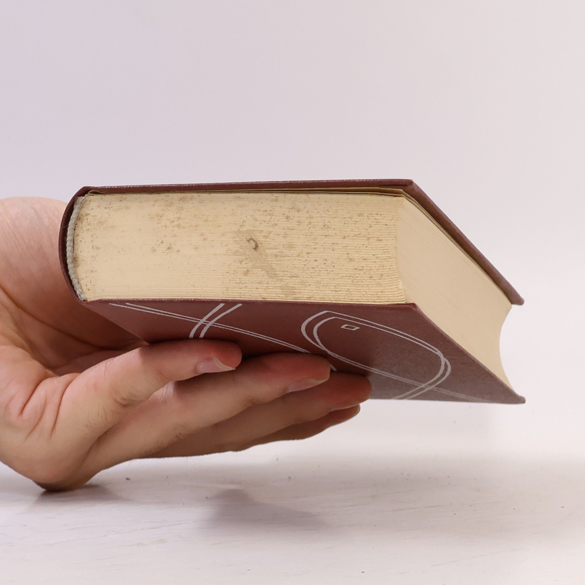 nezn. Der Bibel