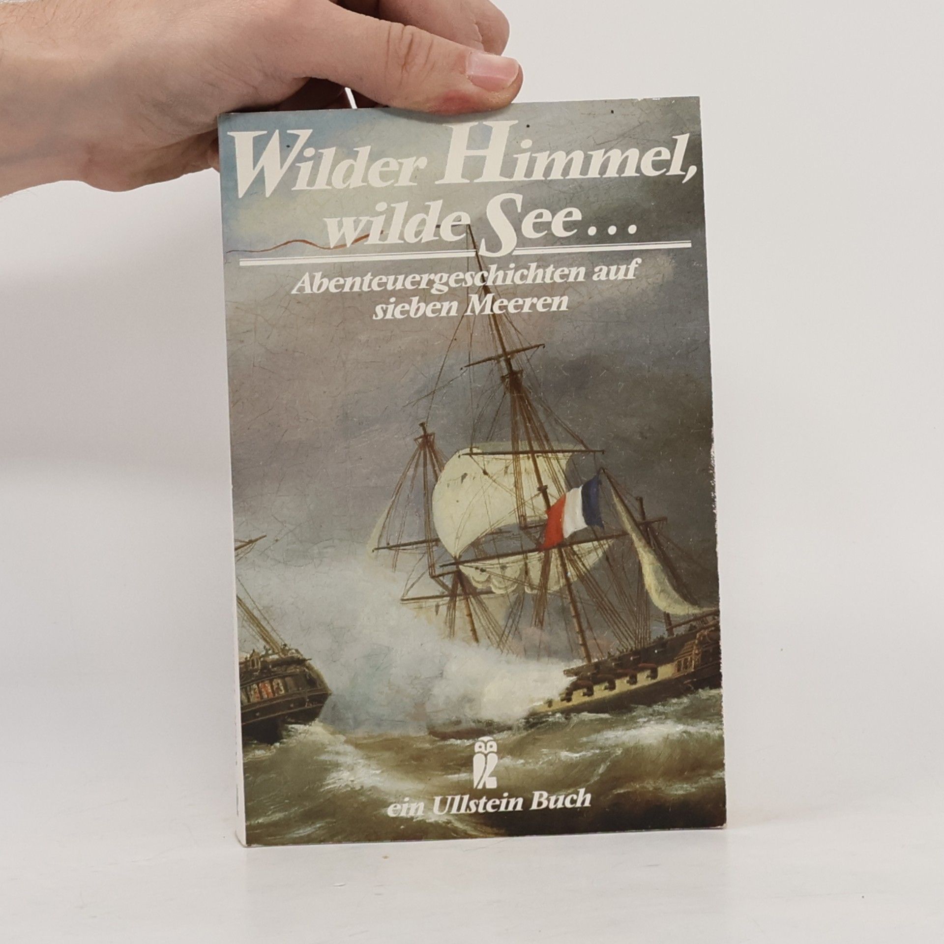 Wilder Himmel, wilde See ... Abenteuergeschichten auf sieben Meeren.