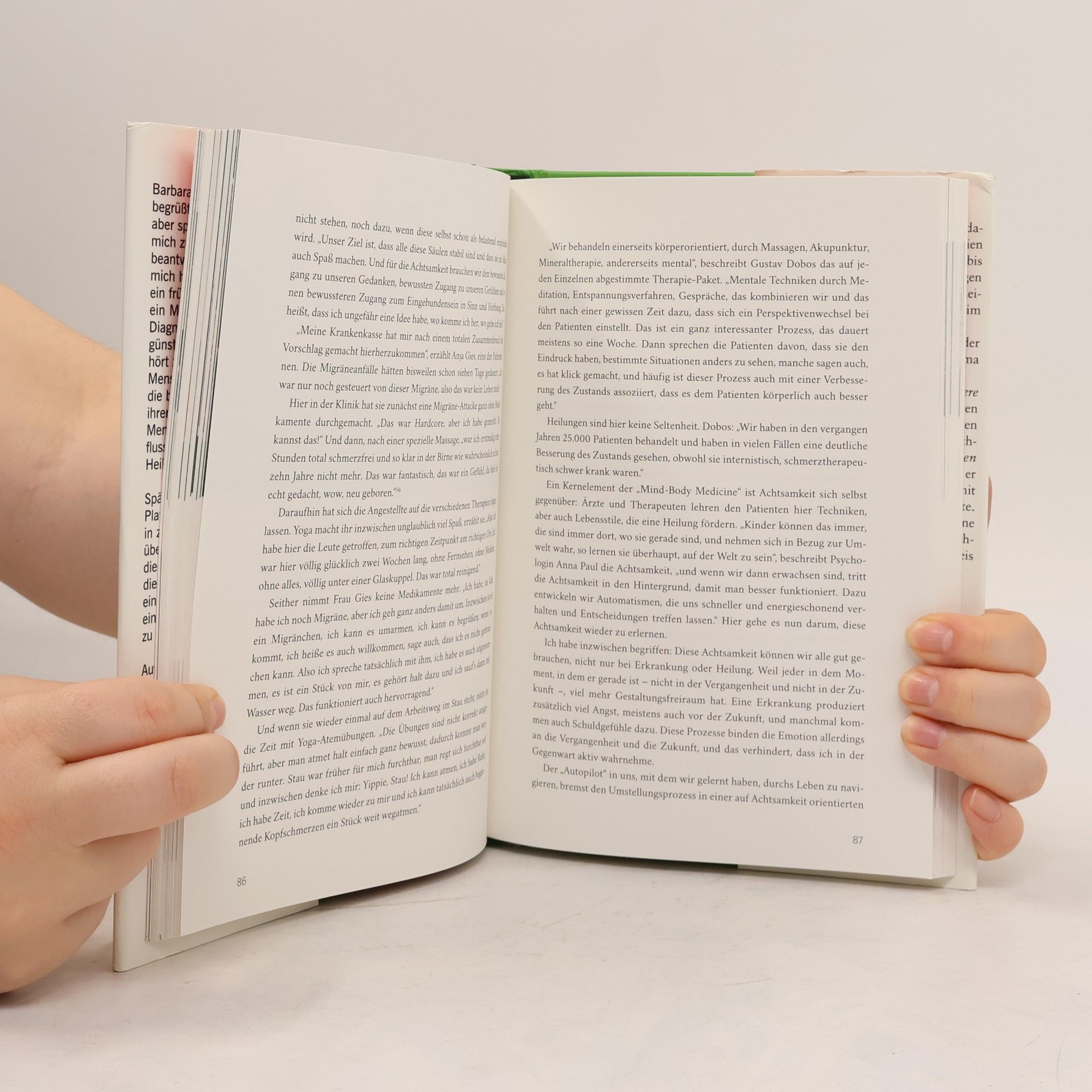 Kurt Langbein Weissbuch Heilung. Wenn die moderne Medizin nichts mehr tun kann