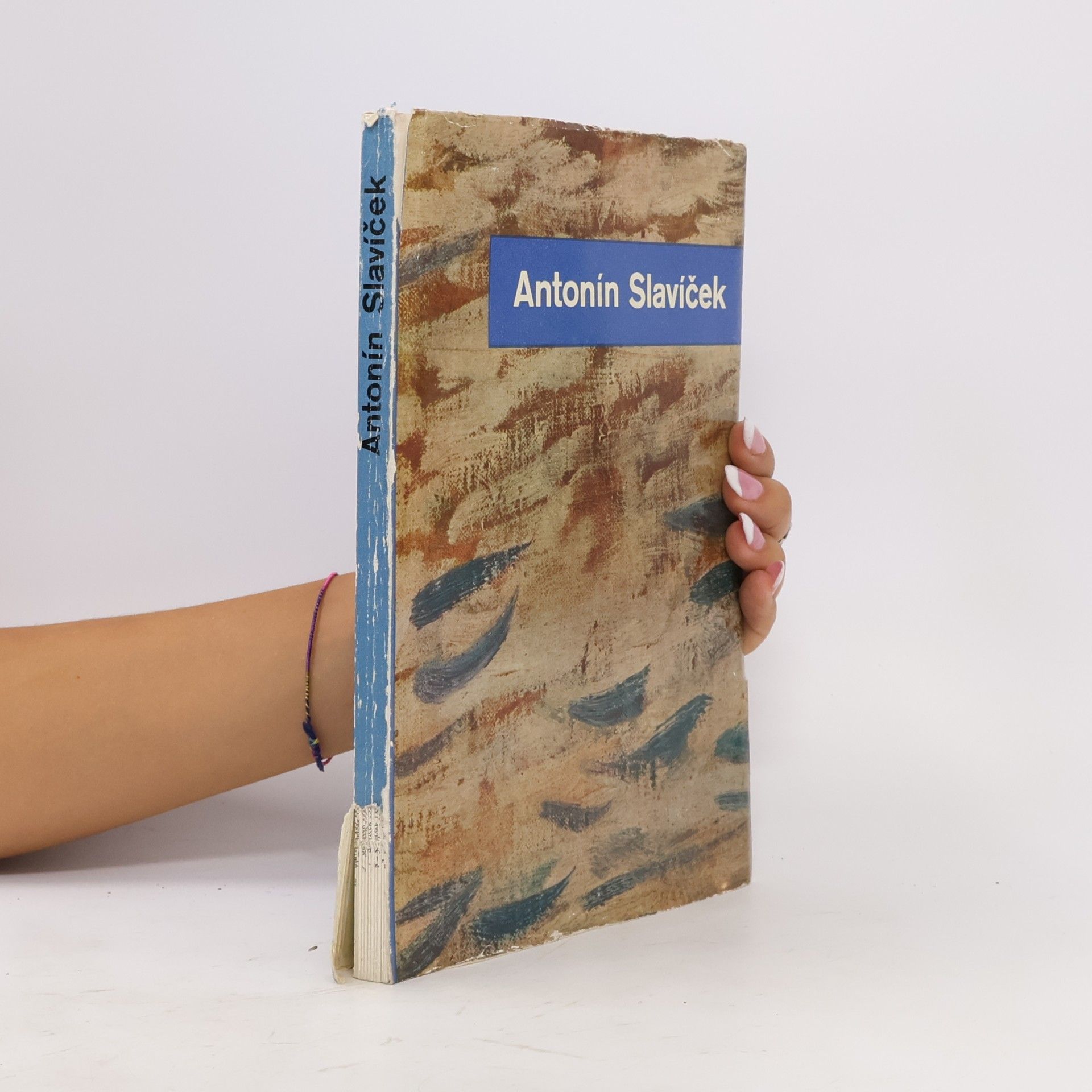 Kolektiv autorů Antonín Slavíček