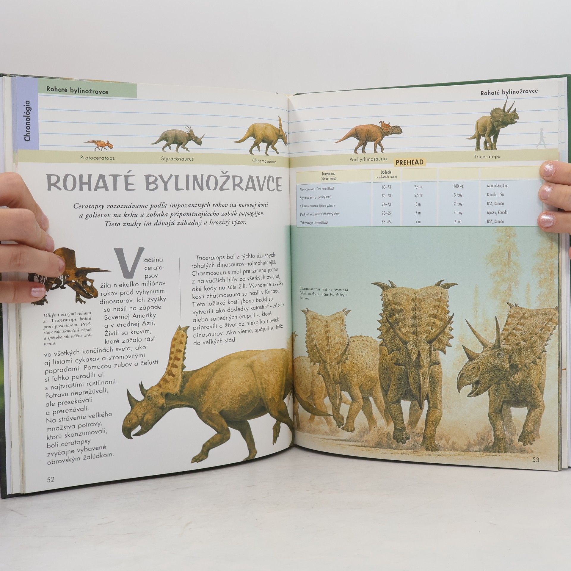 Raúl Martín Dinosaury : Encyklopedický prehľad