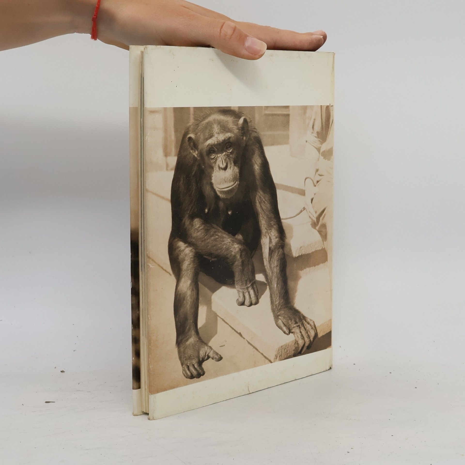 Heinrich Dathe Erlebnisse mit Zootieren