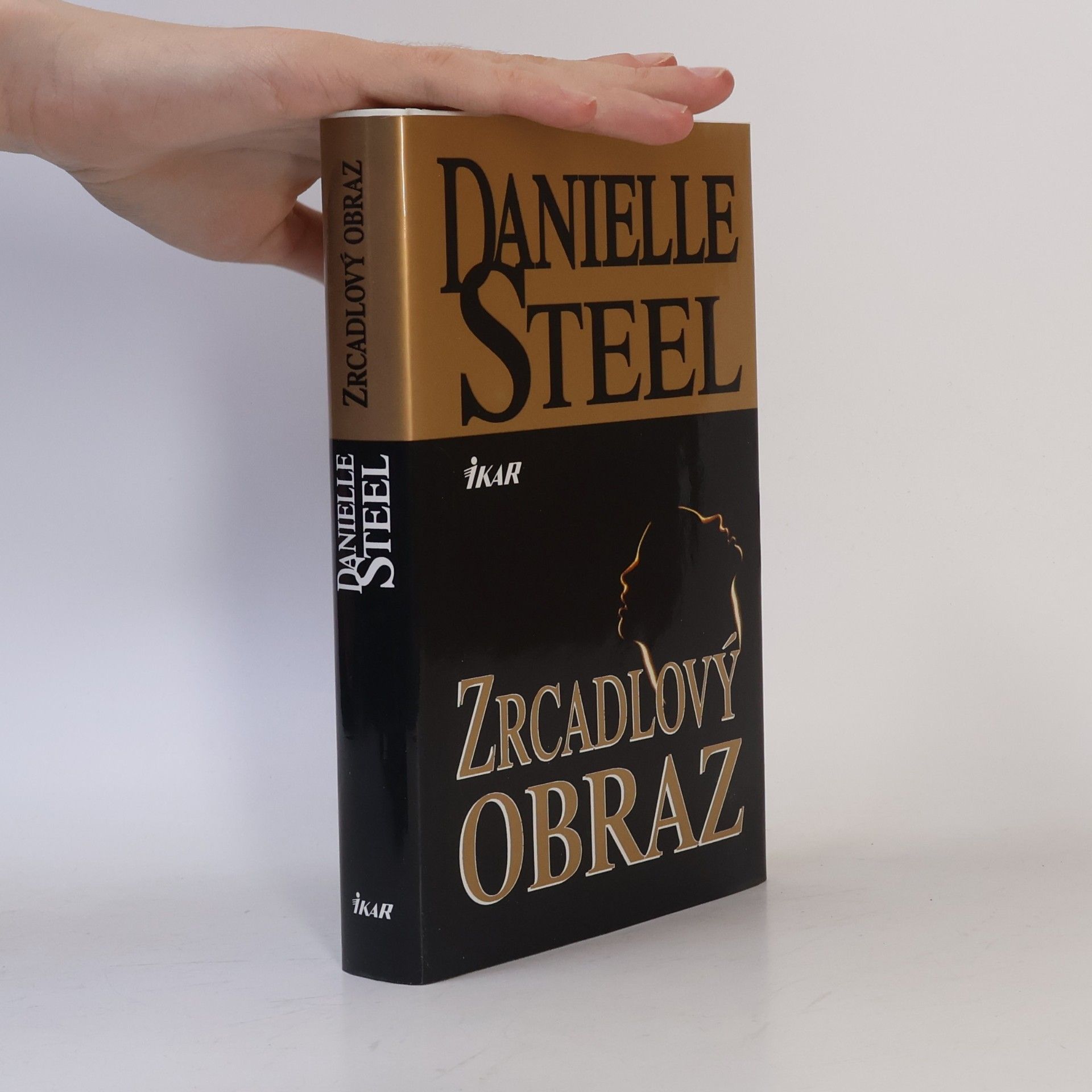 Danielle Steel Zrcadlový obraz