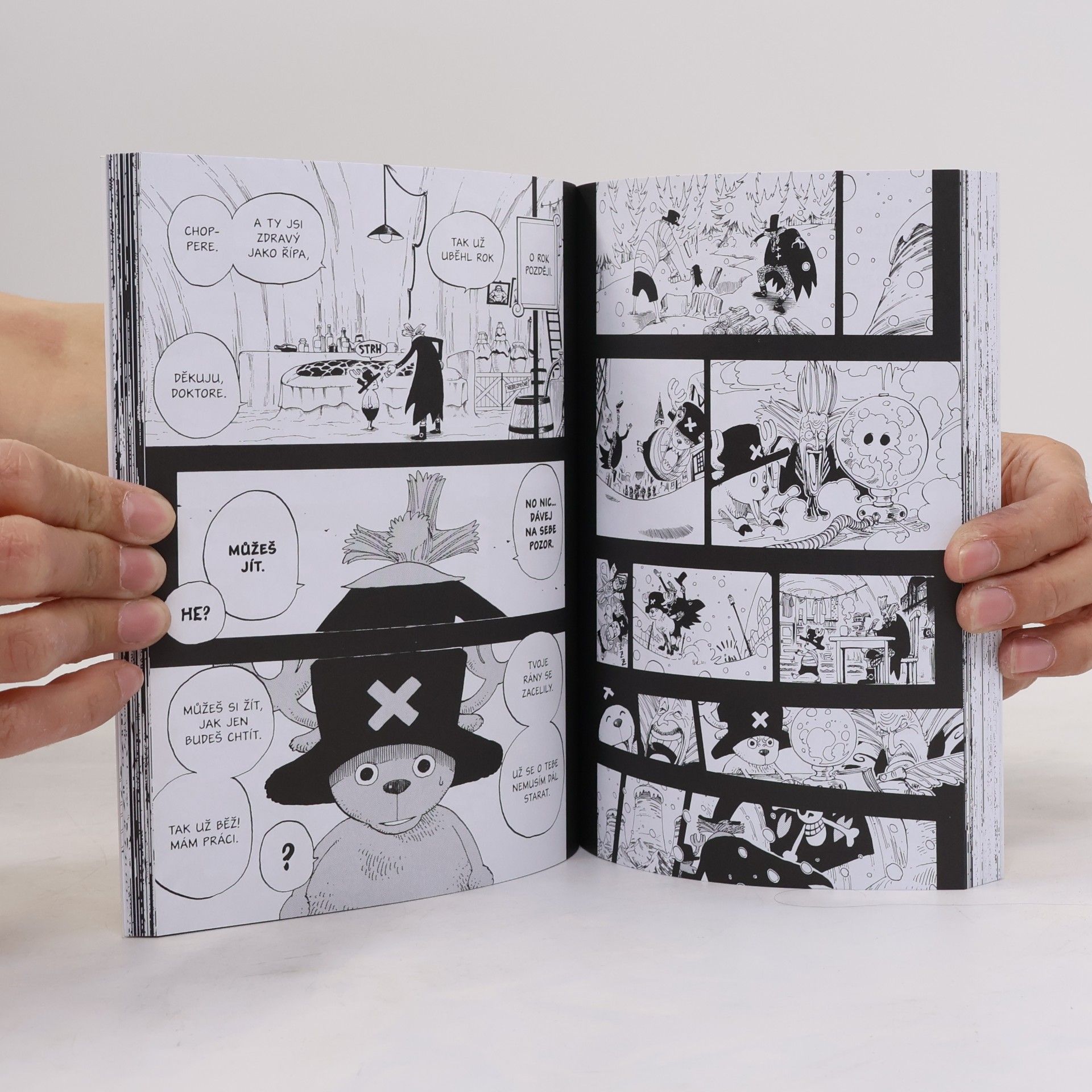 Eiichiro Oda Pochodeň