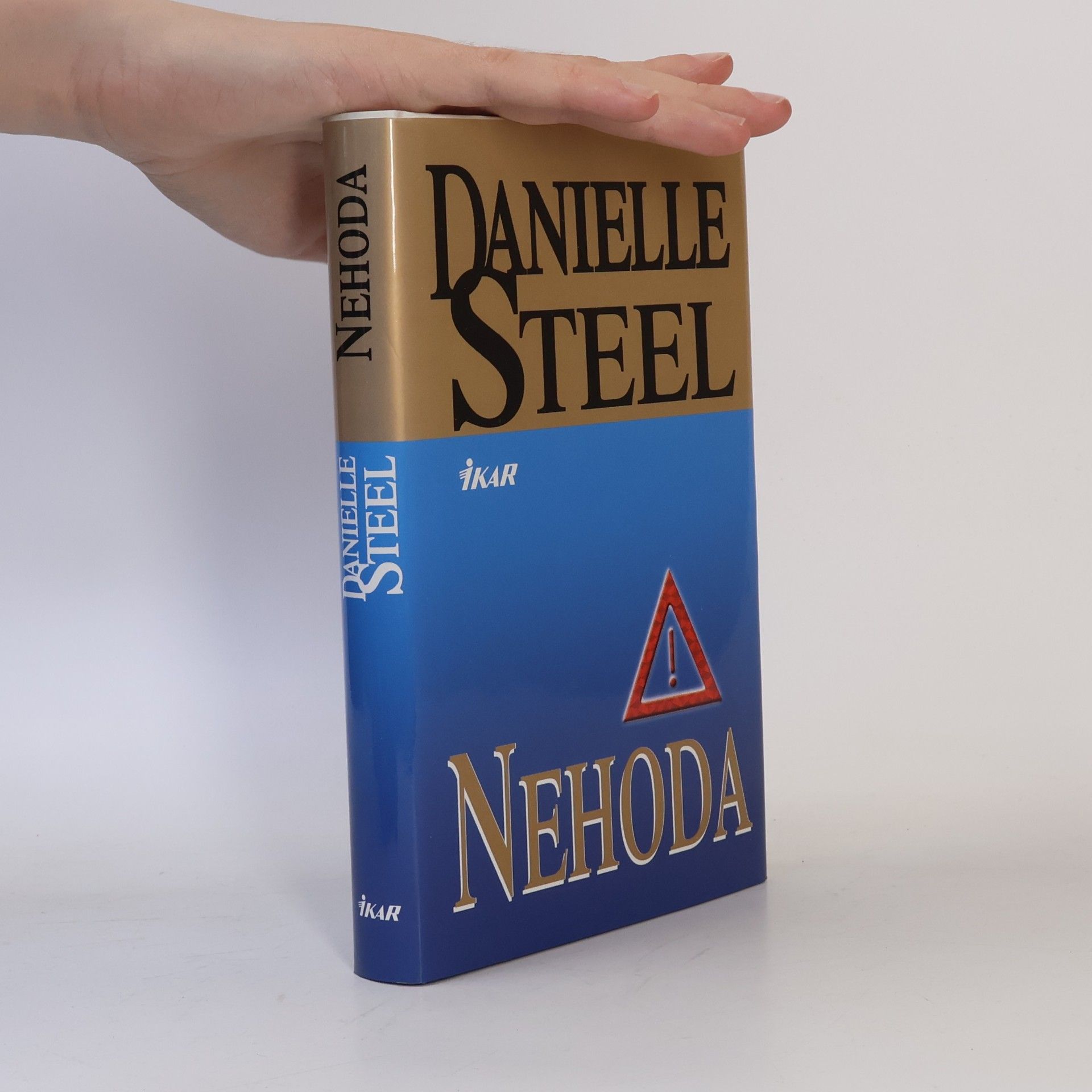 Danielle Steel Nehoda