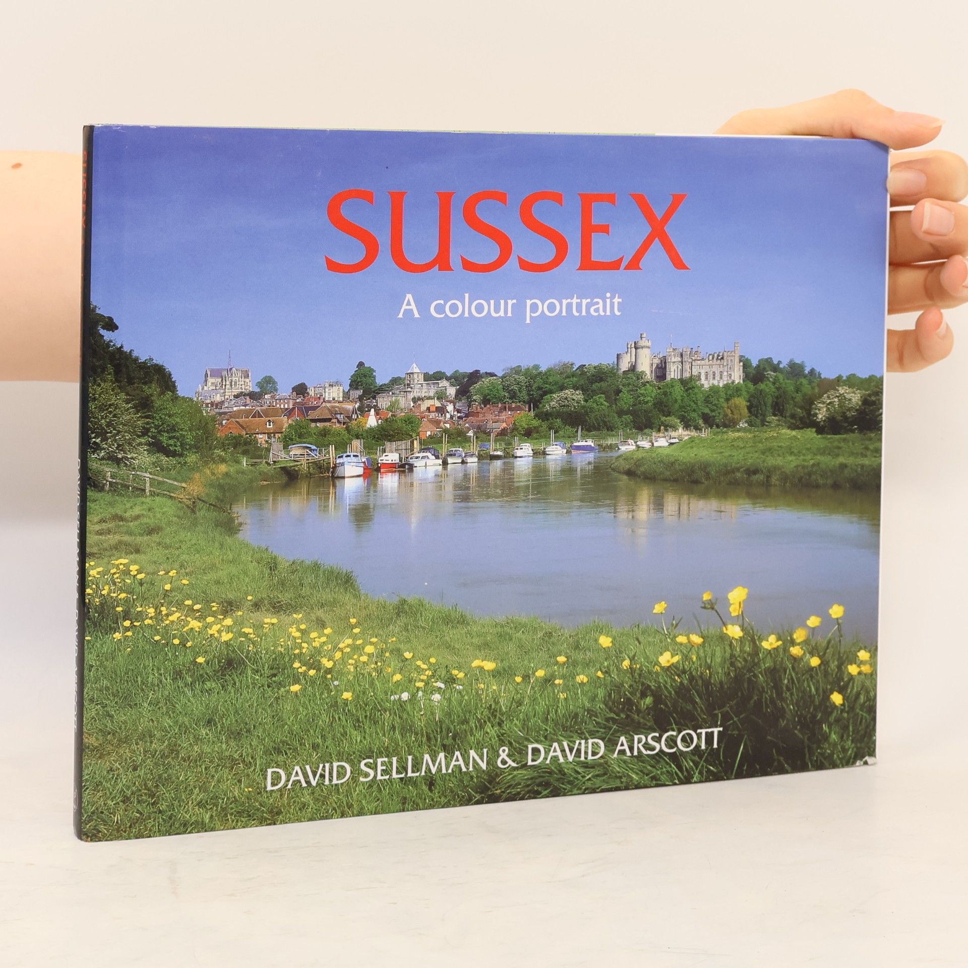 David Sellman Sussex