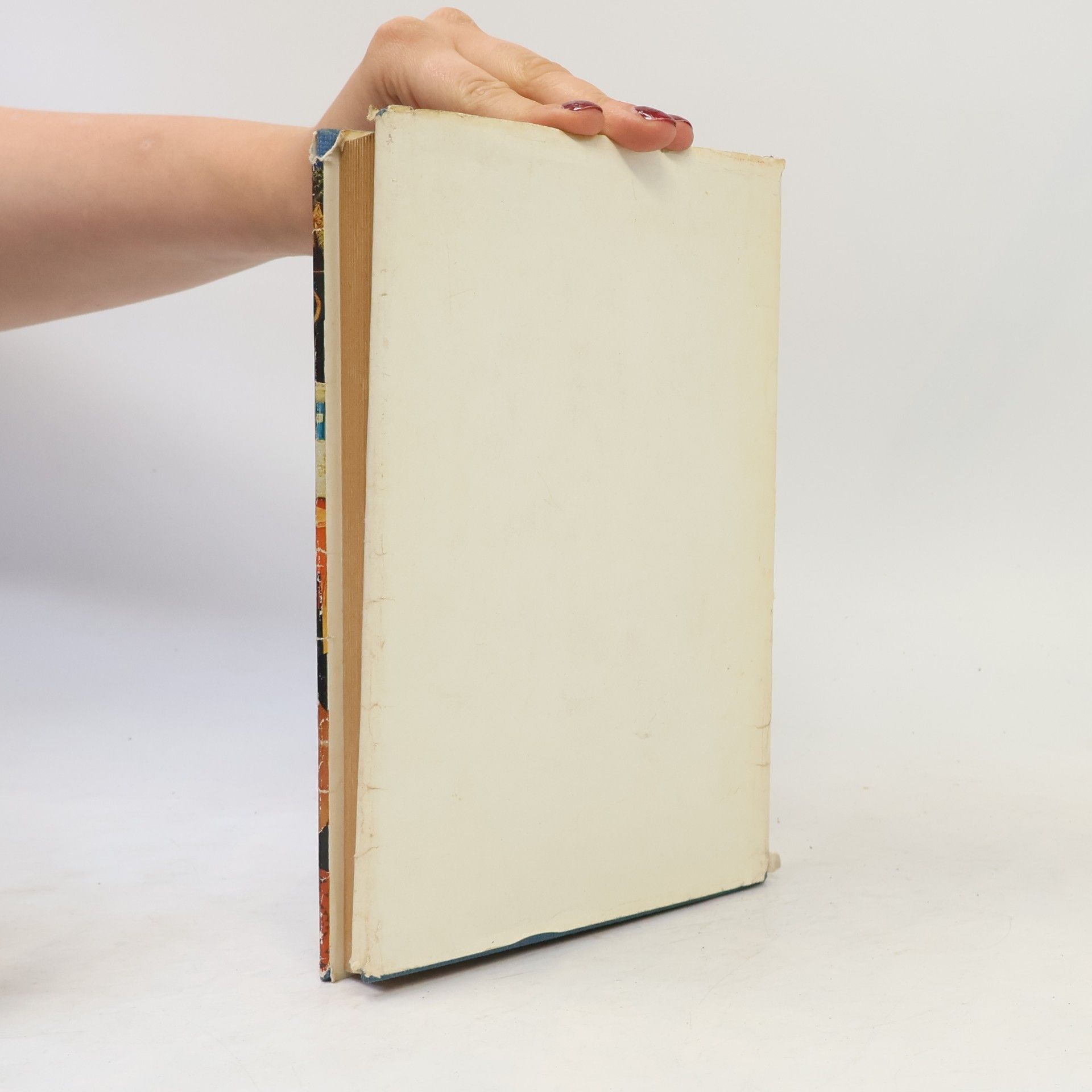 Autorenkollektiv Das kleine Haushaltbuch